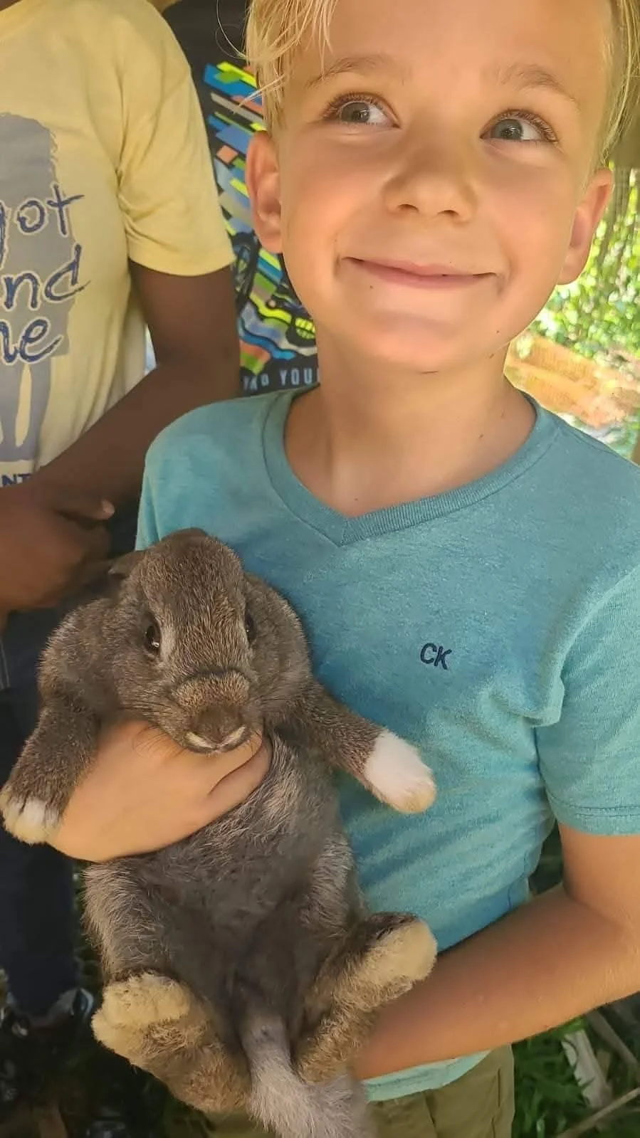 A young boy with blonde hair and a blue t-shirt holding a gray bunny rabbit, smiling outdoors with trees in the background.
