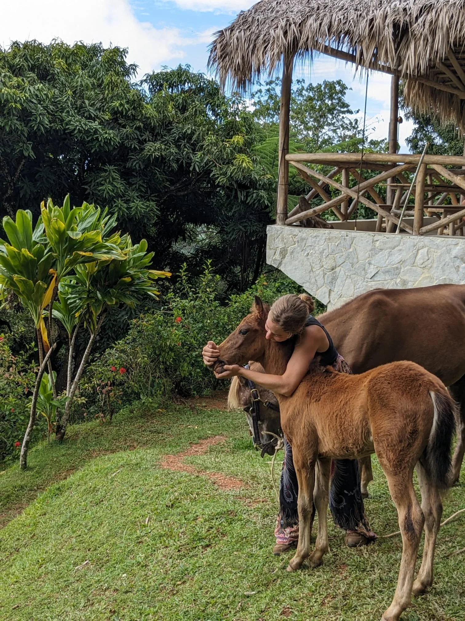 A woman hugging a young brown horse in a lush green outdoor setting with trees and plants, a thatched-roof wooden structure in the background.