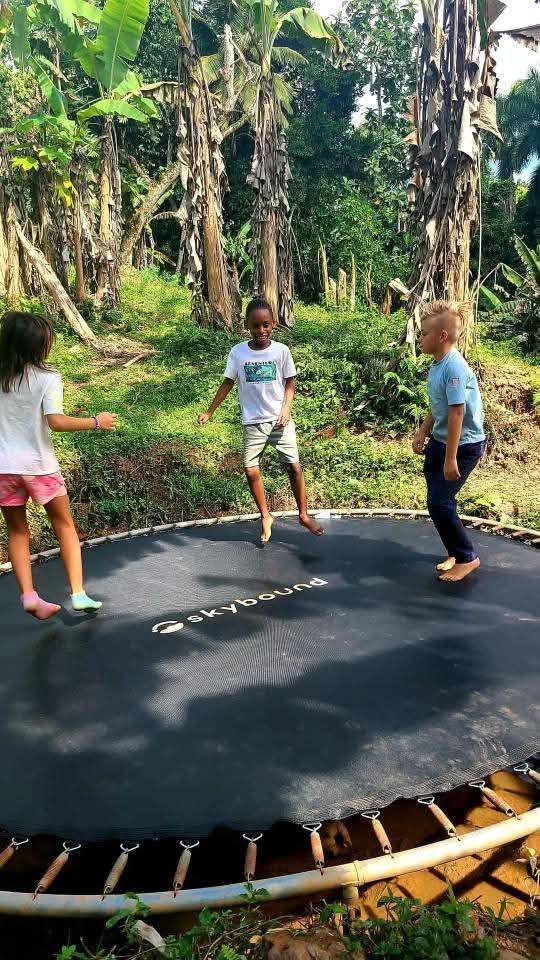 Three children playing on a trampoline outdoors surrounded by green trees and plants.