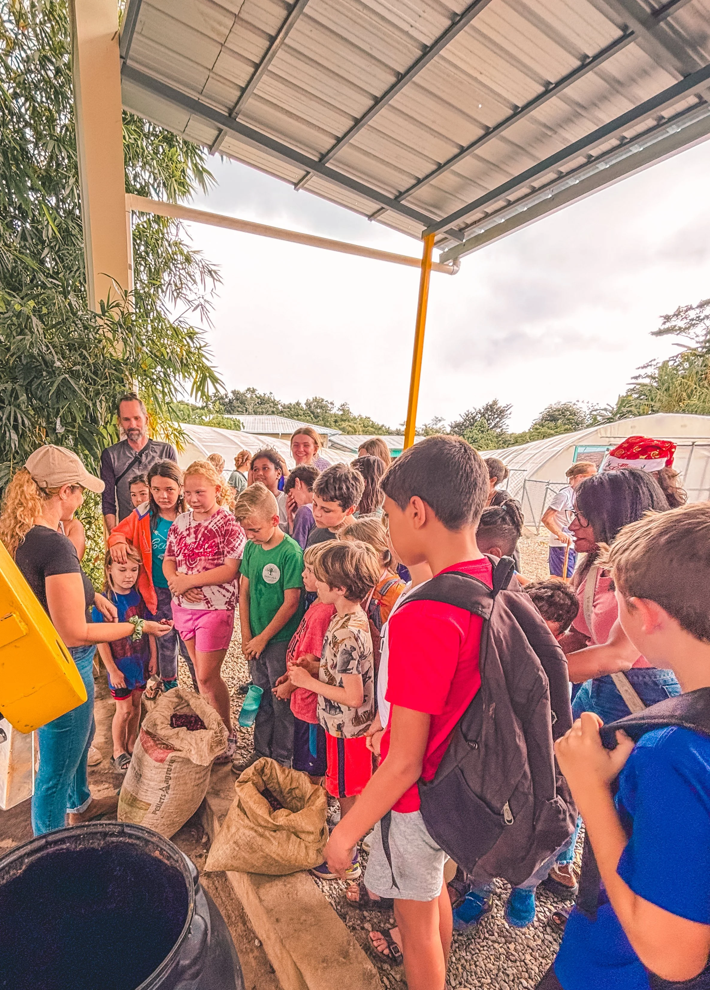 Children and adults gather around a woman tending to plants in a greenhouse, with various green plants and greenhouses in the background.