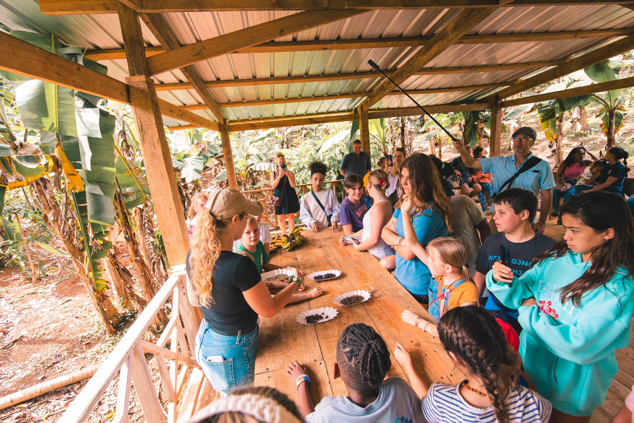 A group of children and adults gathered around a wooden table inside a covered outdoor structure, observing and learning about different types of berries displayed on plates. There are banana plants visible outside the structure.
