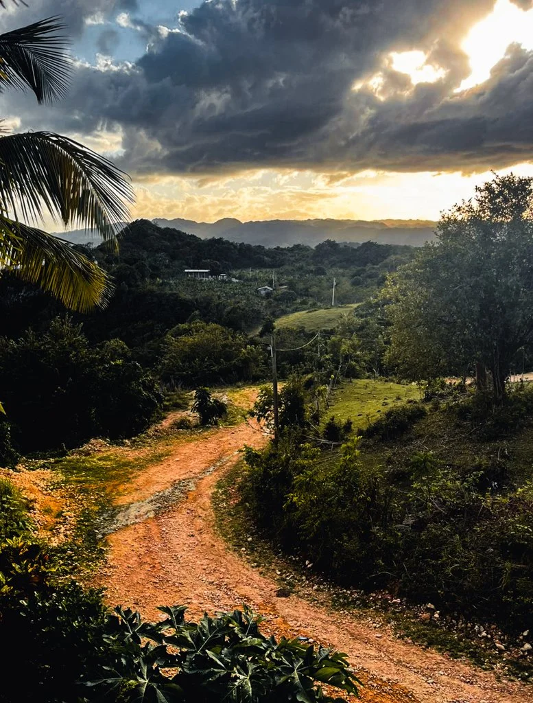 A winding dirt path surrounded by lush greenery and trees in a countryside landscape at sunset, with mountains in the background and dark clouds in the sky.