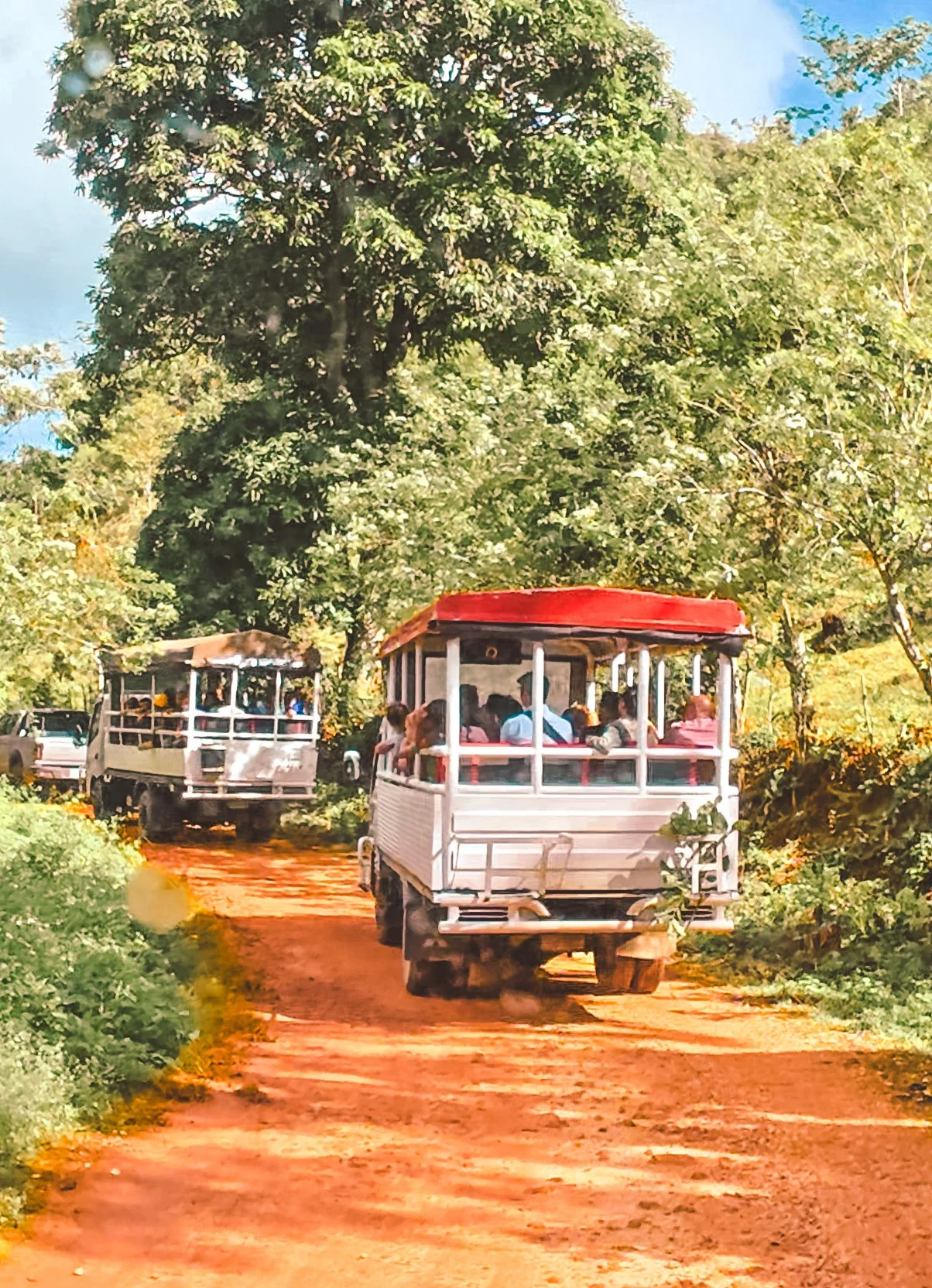 Two open-air tram vehicles, each carrying passengers, are traveling on a dirt path through a lush, green landscape with tall trees and dense foliage, under a partly cloudy sky.