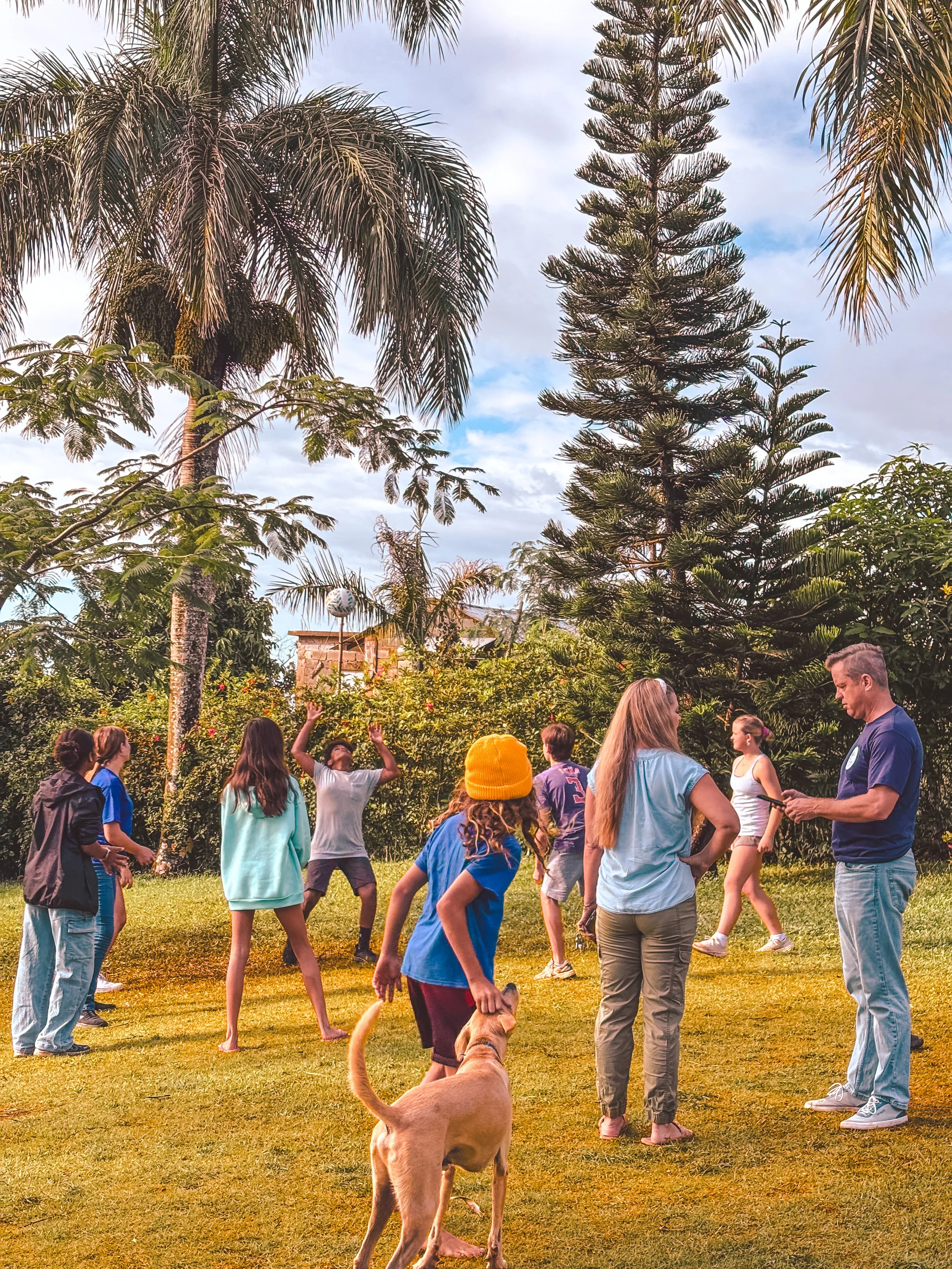 A group of people playing a game outdoors in a park-like setting with tall trees and cloudy sky.