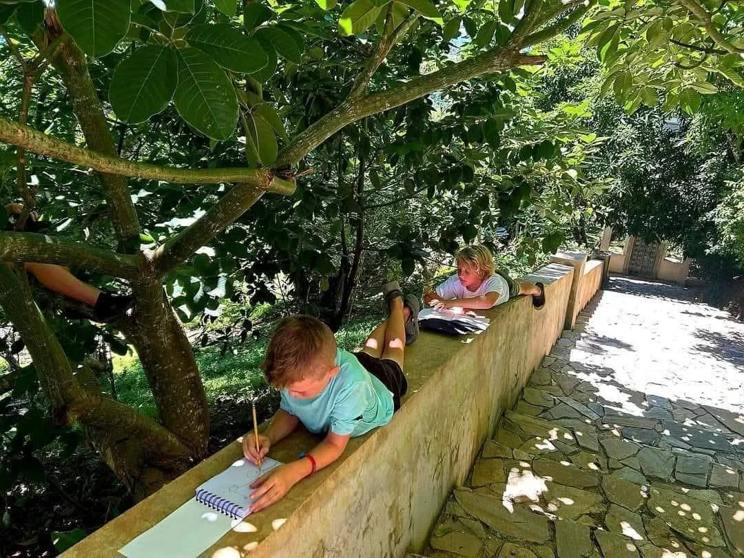 Two children lying on a low wall under a tree, drawing and reading.