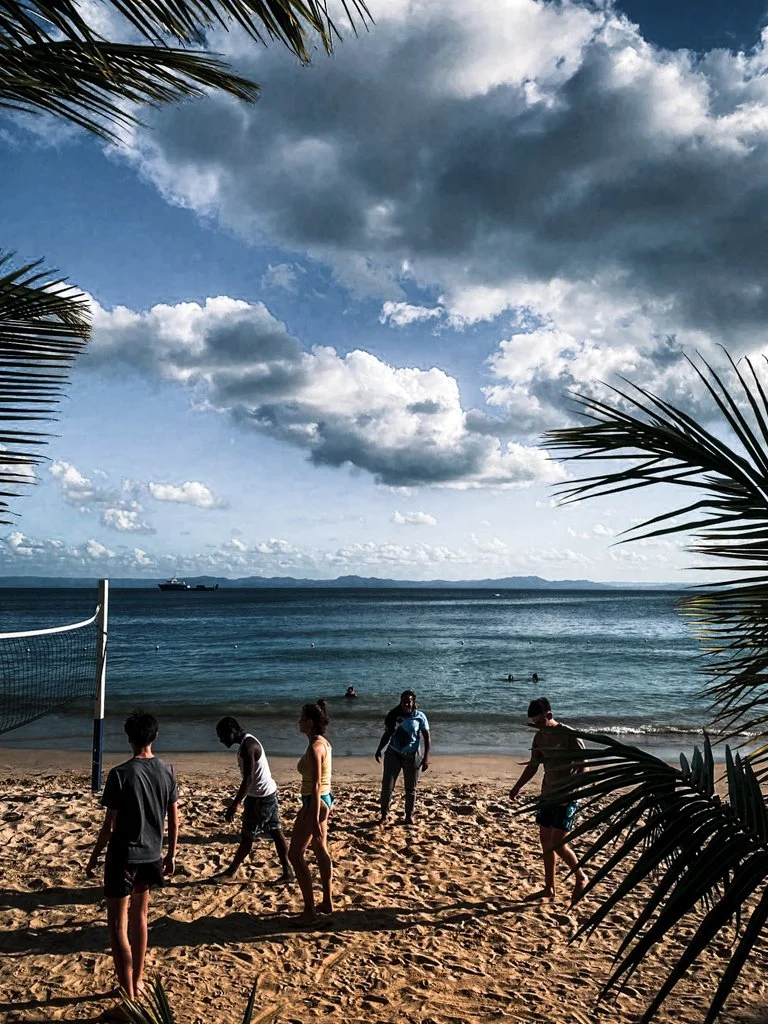 People playing volleyball on a sandy beach with the ocean in the background, palm tree leaves framing the scene, and cloudy sky above.