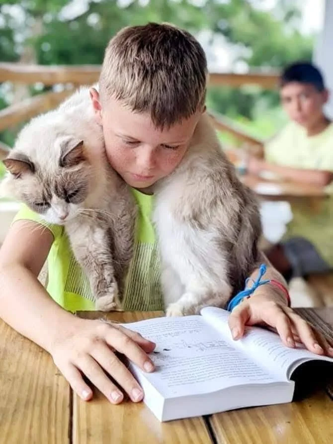 A young boy reading a book with a large cat resting on his shoulders at a wooden table outdoors. Another boy is blurred in the background.