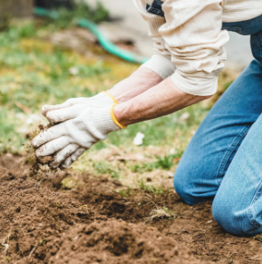 Preparing for Spring