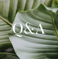 Questions &amp; Answers with Larry