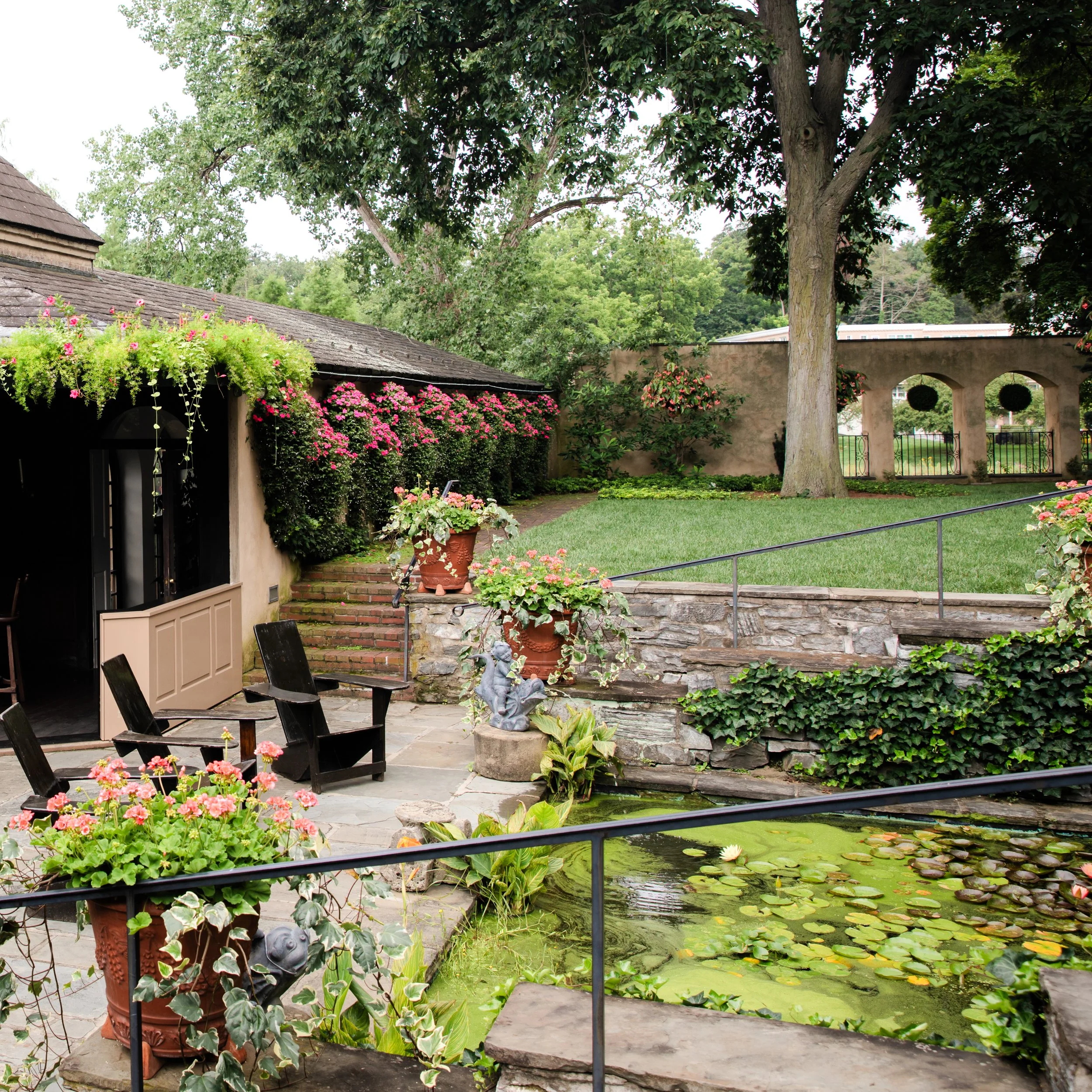 Adult (10+) Single Day Admission