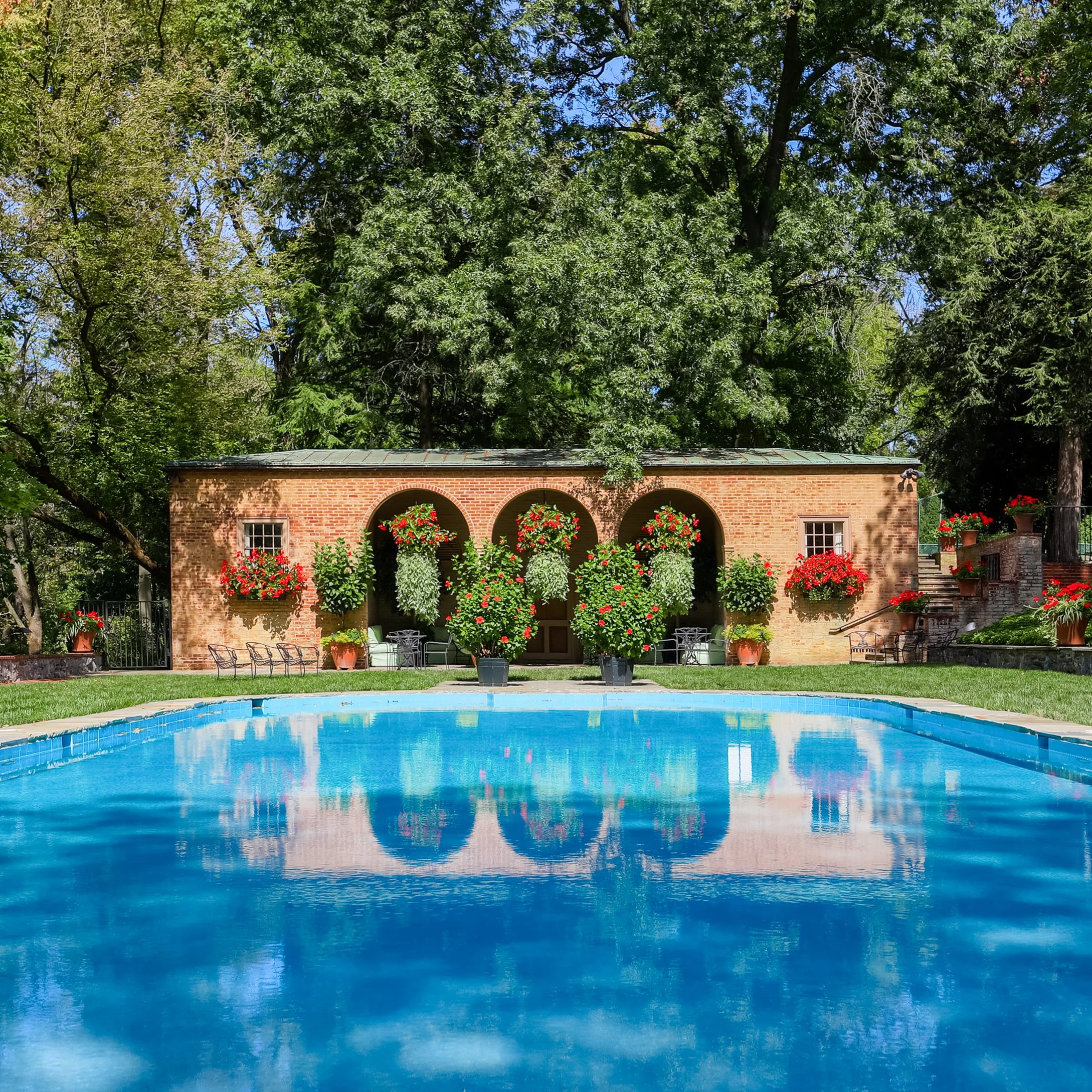 PoolDays.jpg