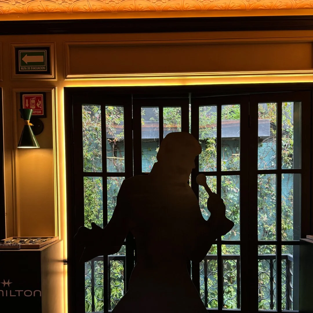 Silueta de una persona con micrófono en mano, en un fondo de ventanas con vista a plantas y árboles, en un interior con iluminación cálida.