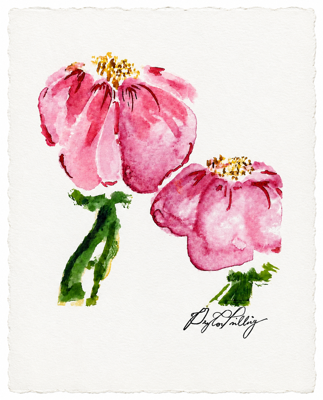 Peyton Art Perfect Peony No Frame.png