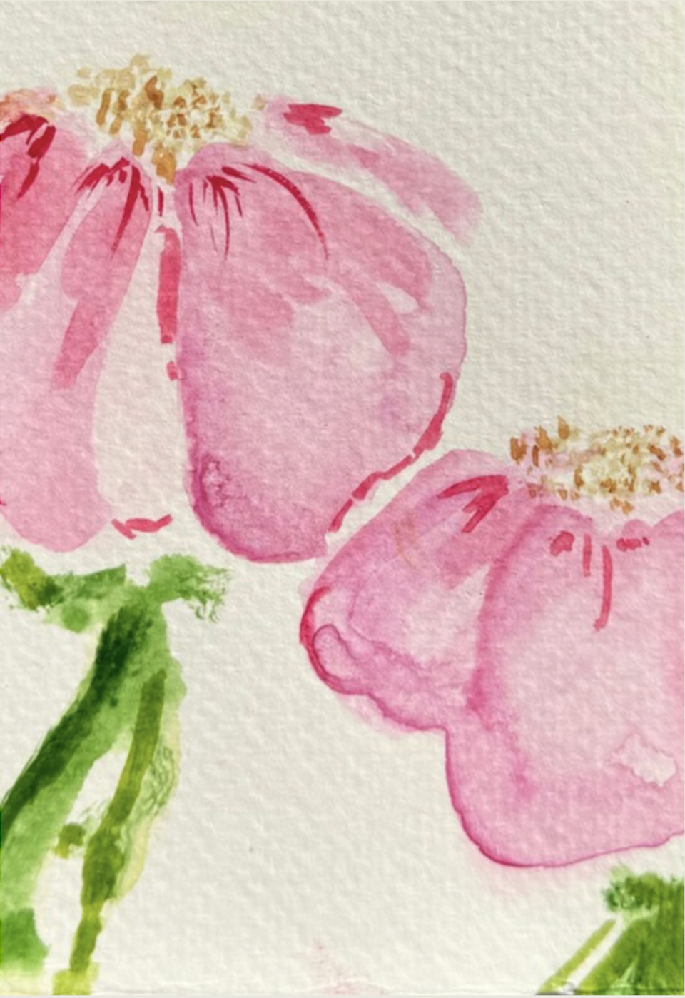 Screenshot 2026-01-27 at 11.17.35 AM.png