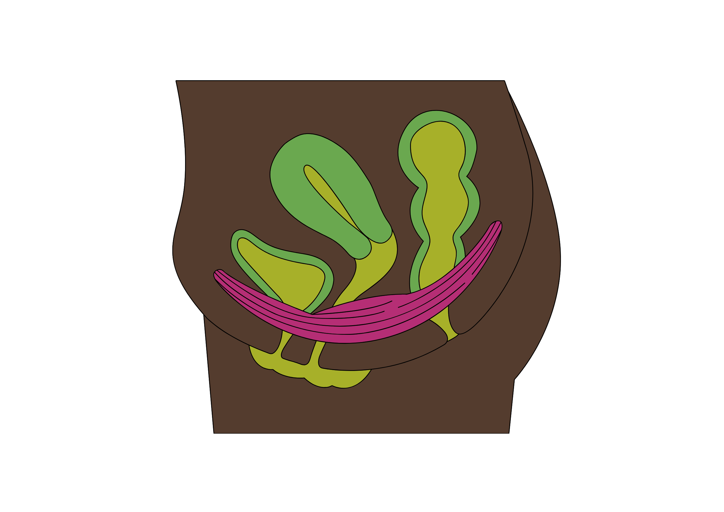 Pelvic Prolapse— What is that?
