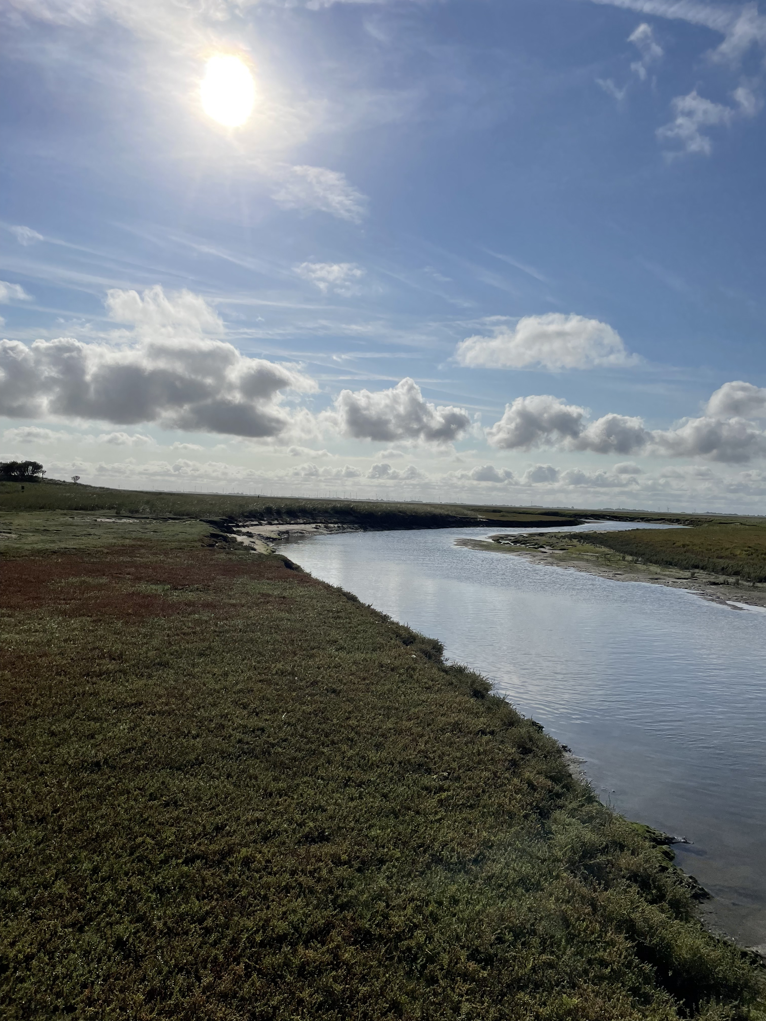 Ein Fluss fließt durch eine grüne Landschaft unter einem blauen Himmel mit Wolken, die von der Sonne beleuchtet werden.