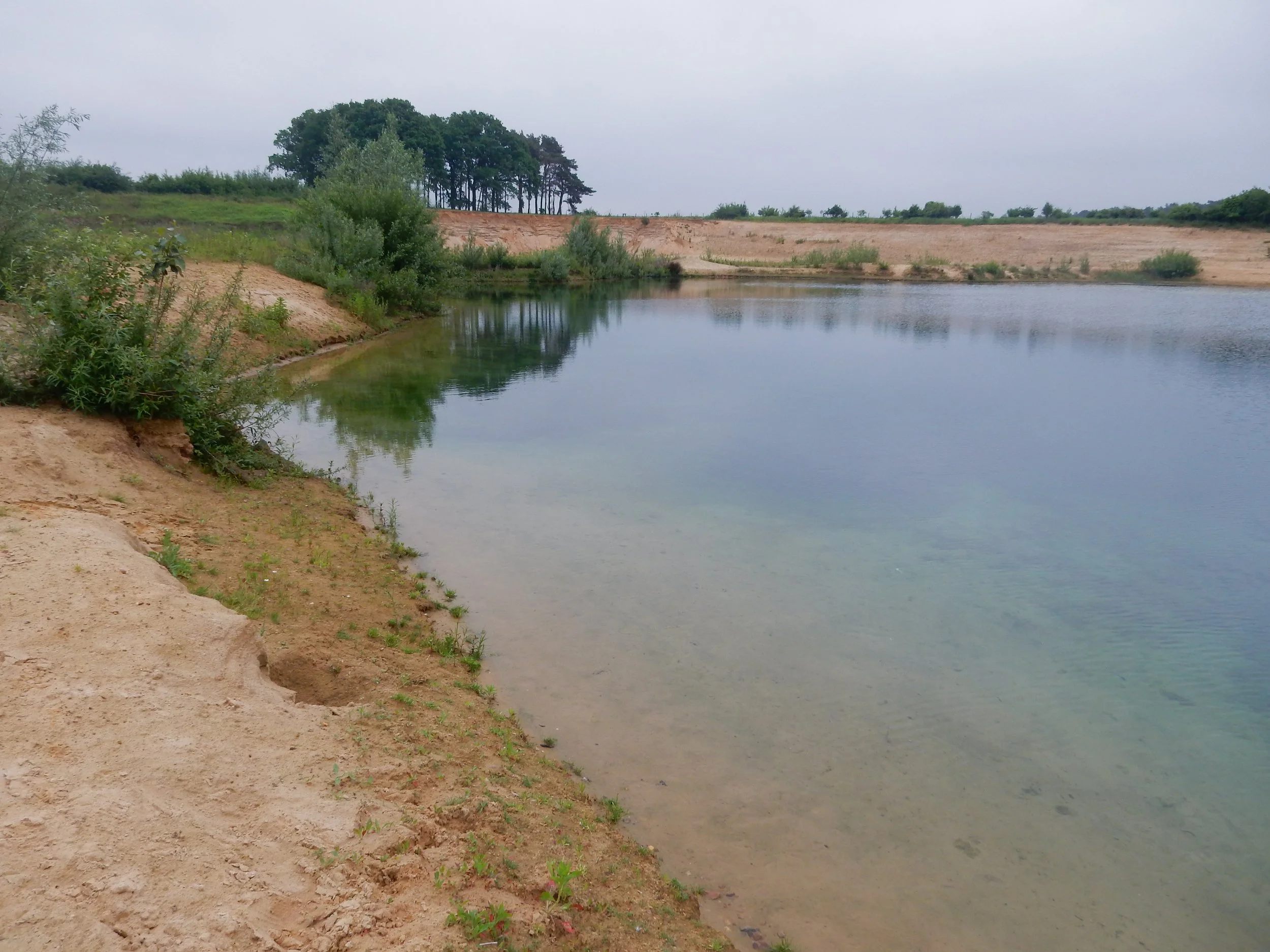 Ein ruhiger See mit sandigen Ufer und umgebender Natur, Bäume im Hintergrund, bewölkter Himmel.