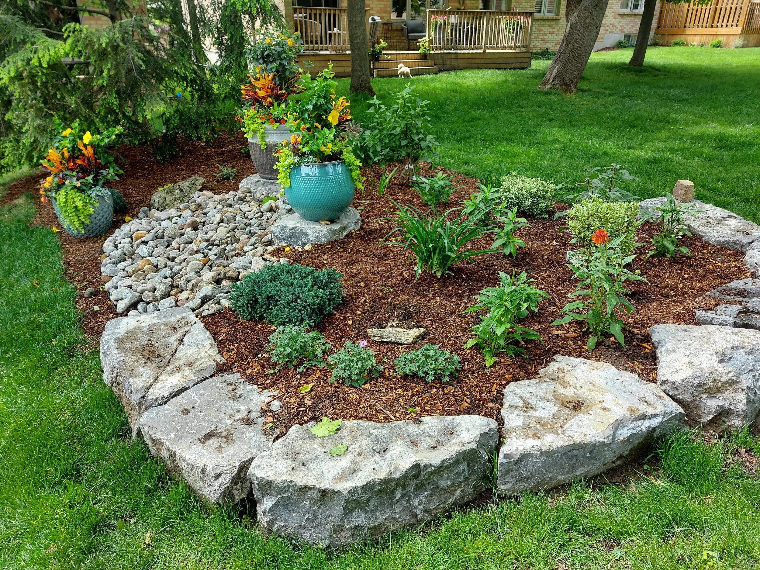 A landscaped garden bed with colorful potted plants, flowers, and rocks, surrounded by green grass and trees in a backyard, with a house and porch in the background.