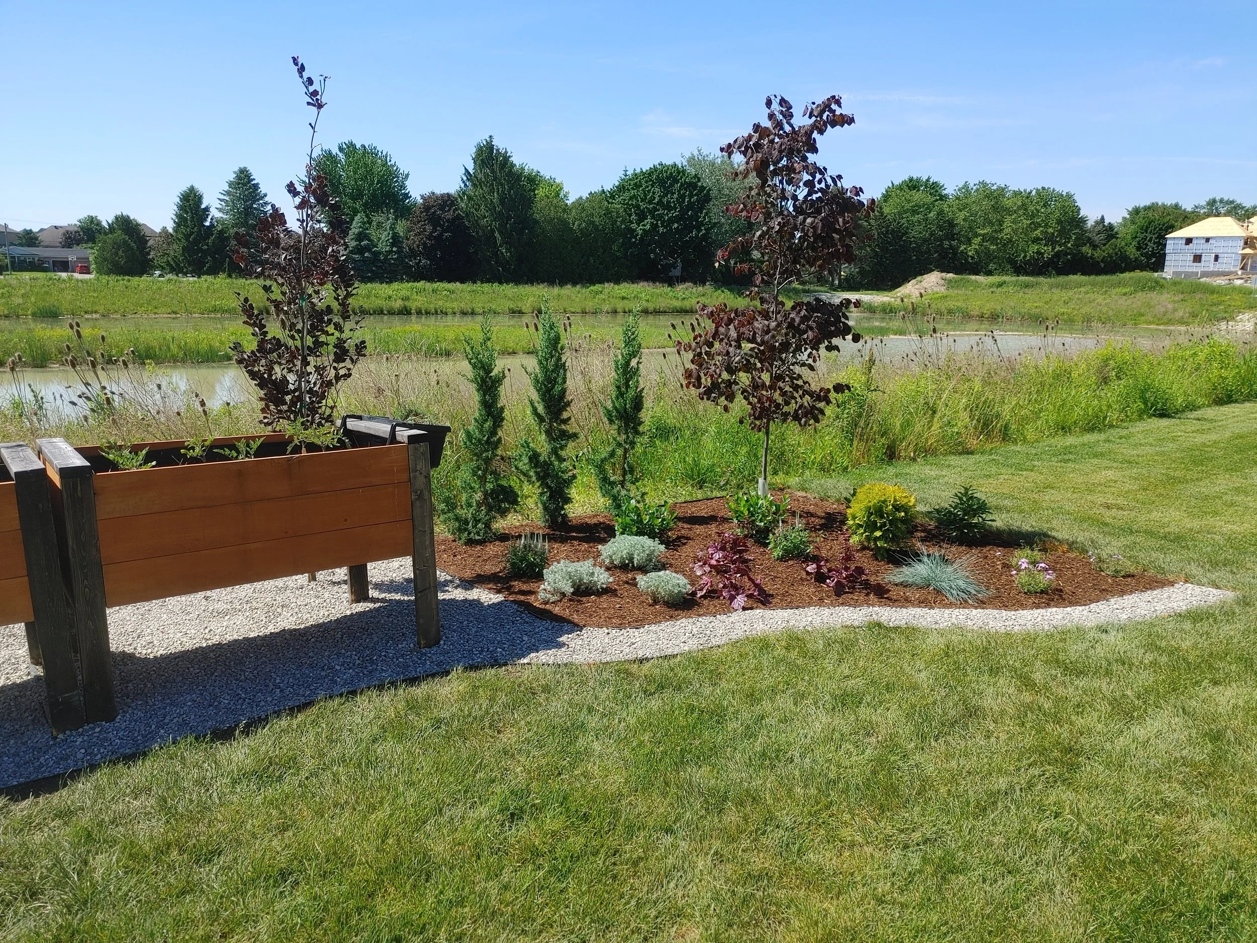 A garden bed with various small trees, shrubs, and plants, bordered by a curved gravel edge, and set against a grassy lawn with a body of water and trees in the background under a clear blue sky.