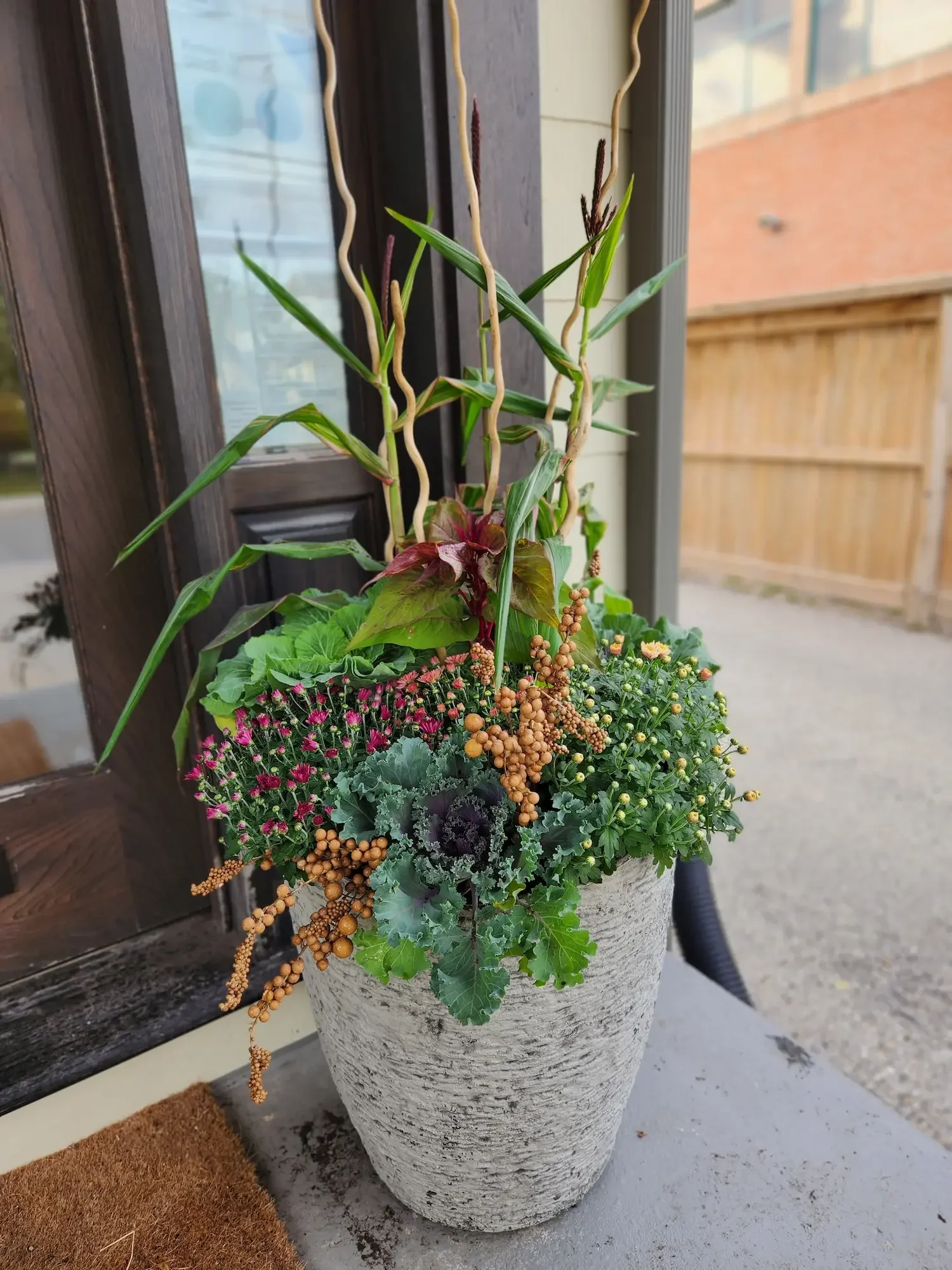 A decorative outdoor plant arrangement in a textured gray pot, featuring twining yellowish-brown stems, green foliage, and small peach-colored berries, placed on a concrete surface near a wooden building. Fall planter, mums, kale, cabbage, corn
