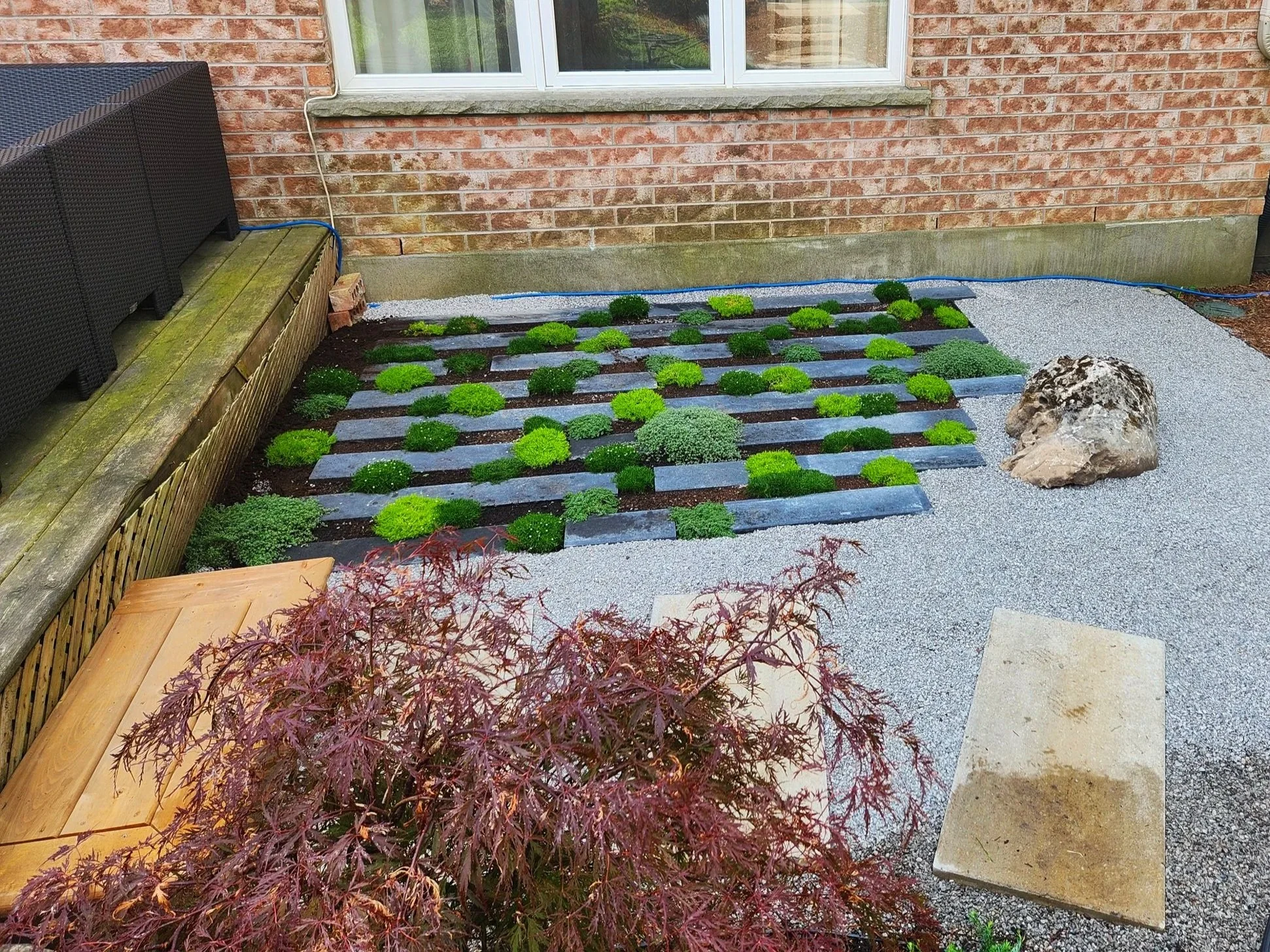 A small moss garden with limestone, long rocks, and gravel, in a backyard