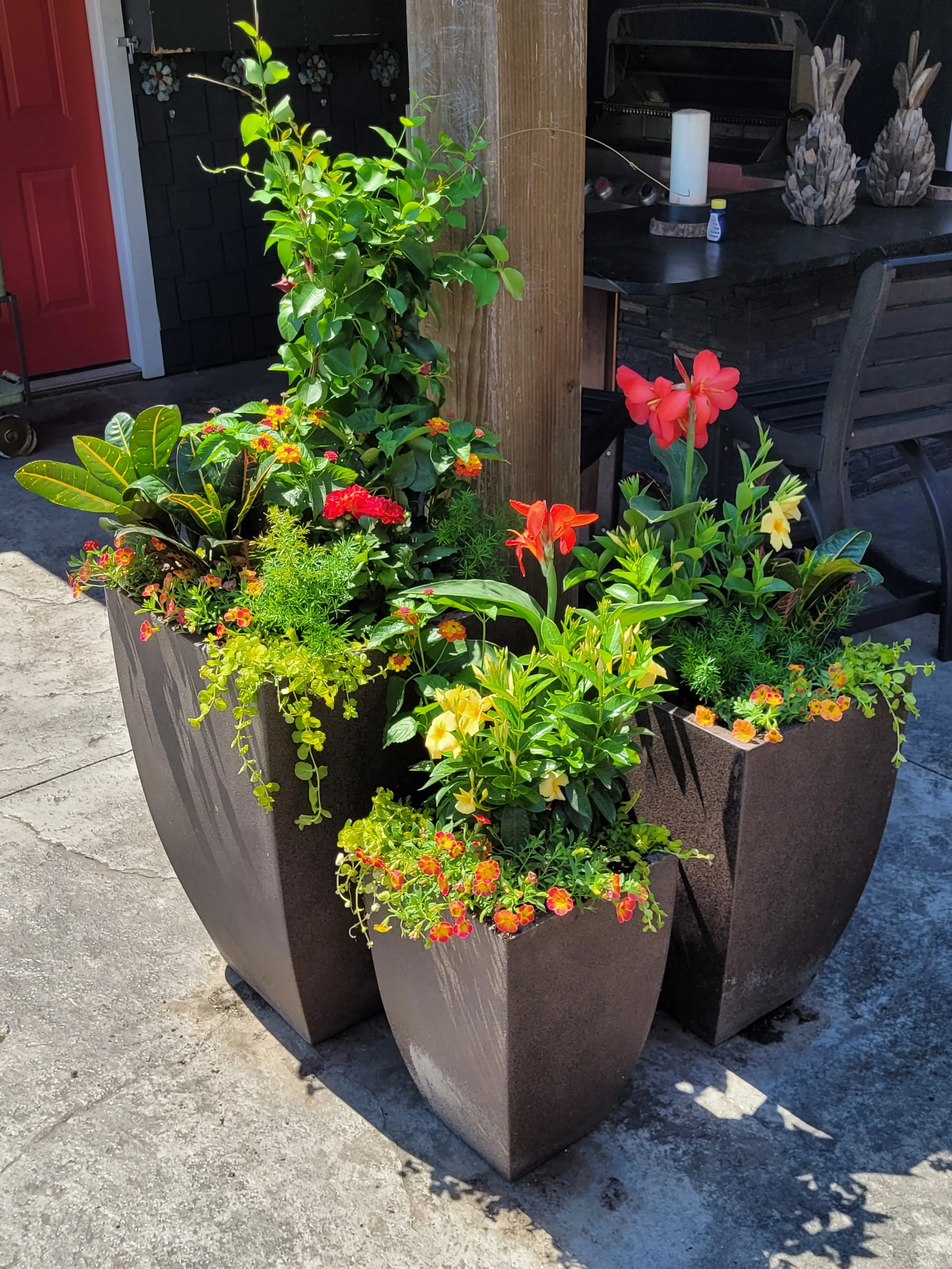 Three large rectangular black flower pots with vibrant green plants and colorful blooming flowers, placed on a concrete patio near a wooden post and outdoor kitchen area.