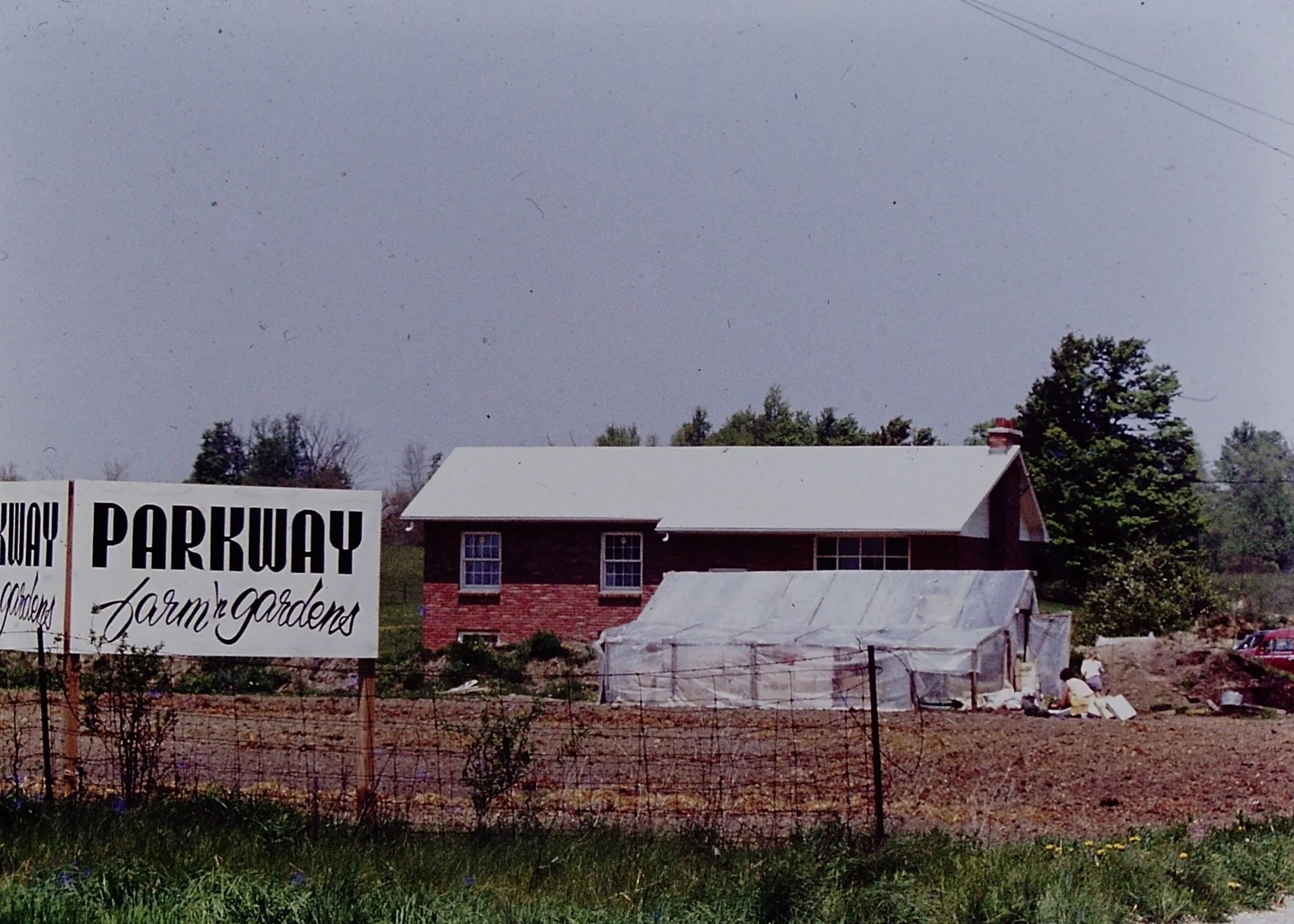 'Parkway farm & gardens' the origin of Parkway Gardens. The early greenhouse and field for growing plants for sale