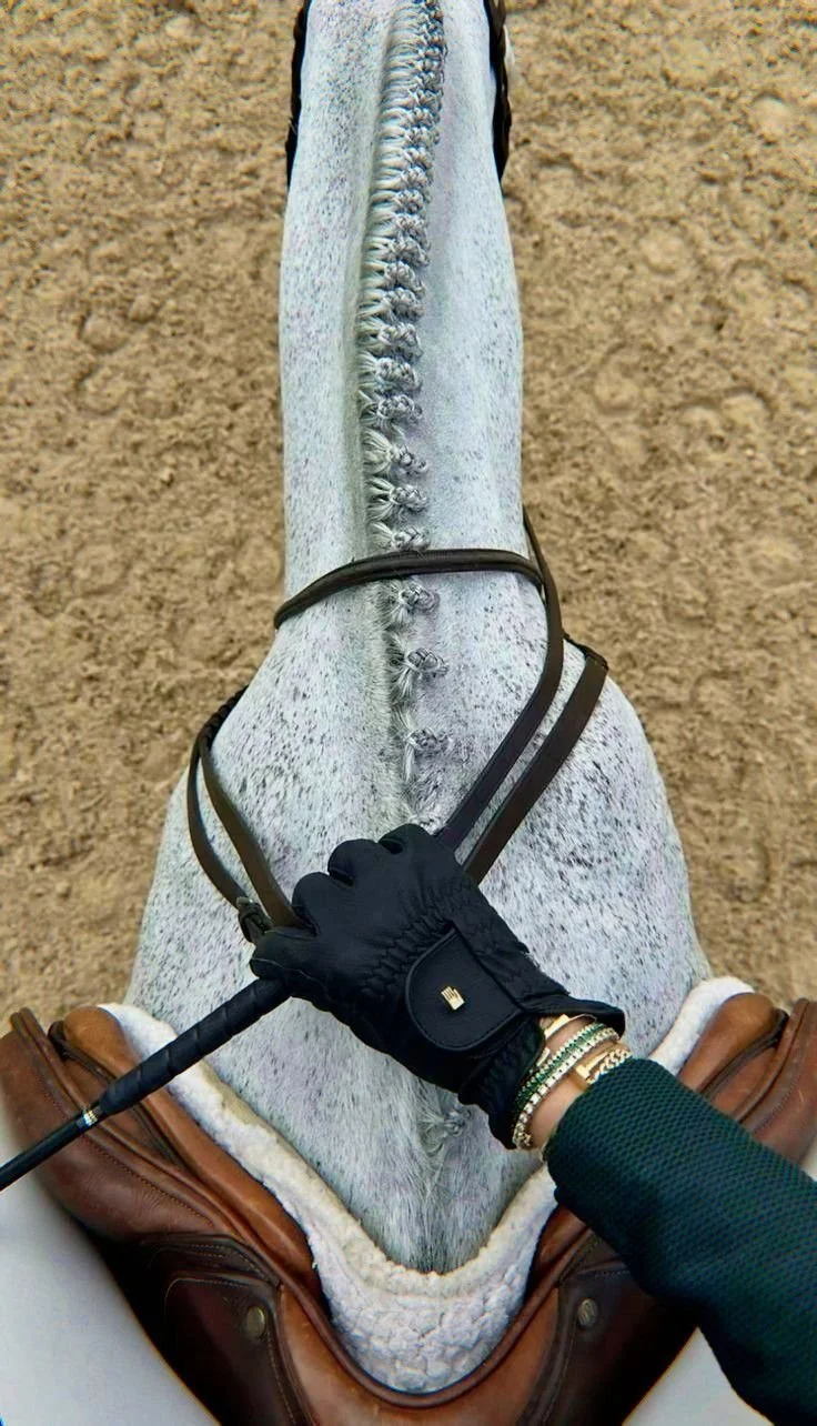 A person riding a white horse with braided mane, wearing riding gloves and multiple bracelets, holding a riding crop while the horse walks on a dirt path.