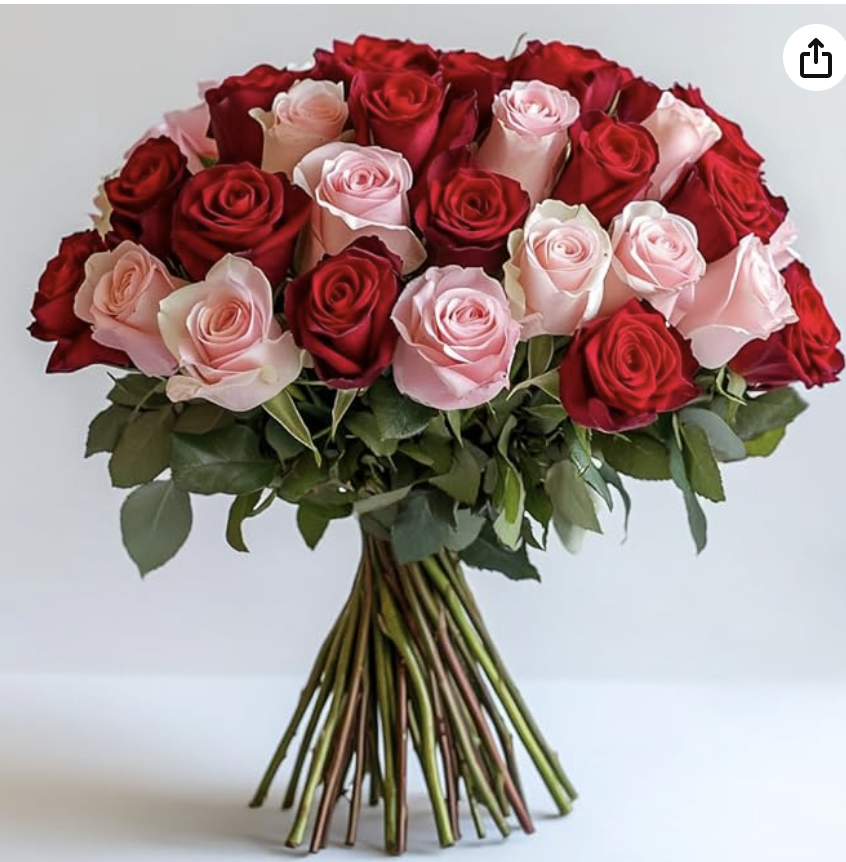 Screenshot 2026-01-29 at 9.18.49 AM.png