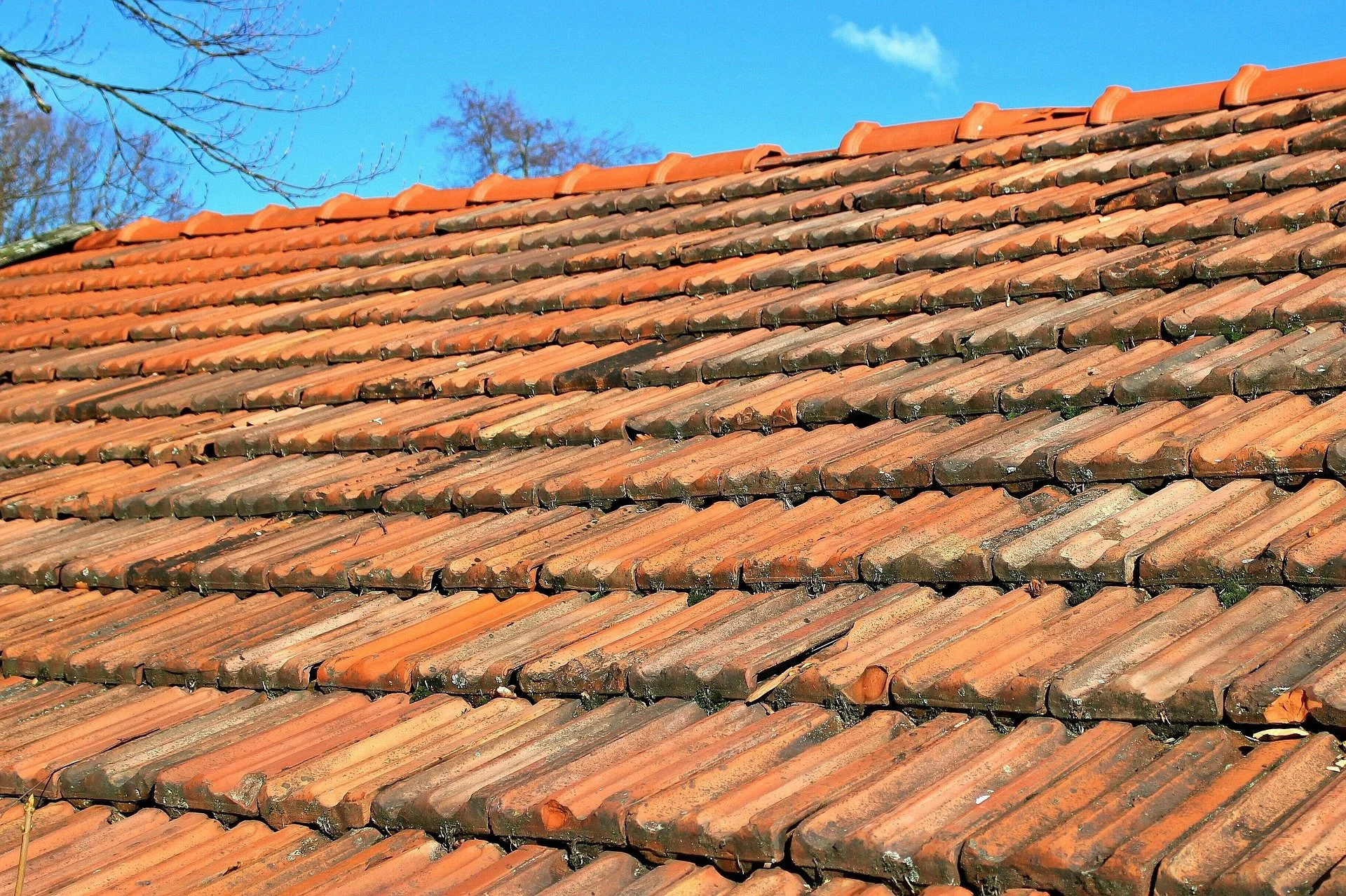 Close-up of aged terracotta roof tiles on a building roof, with clear blue sky visible in the background.