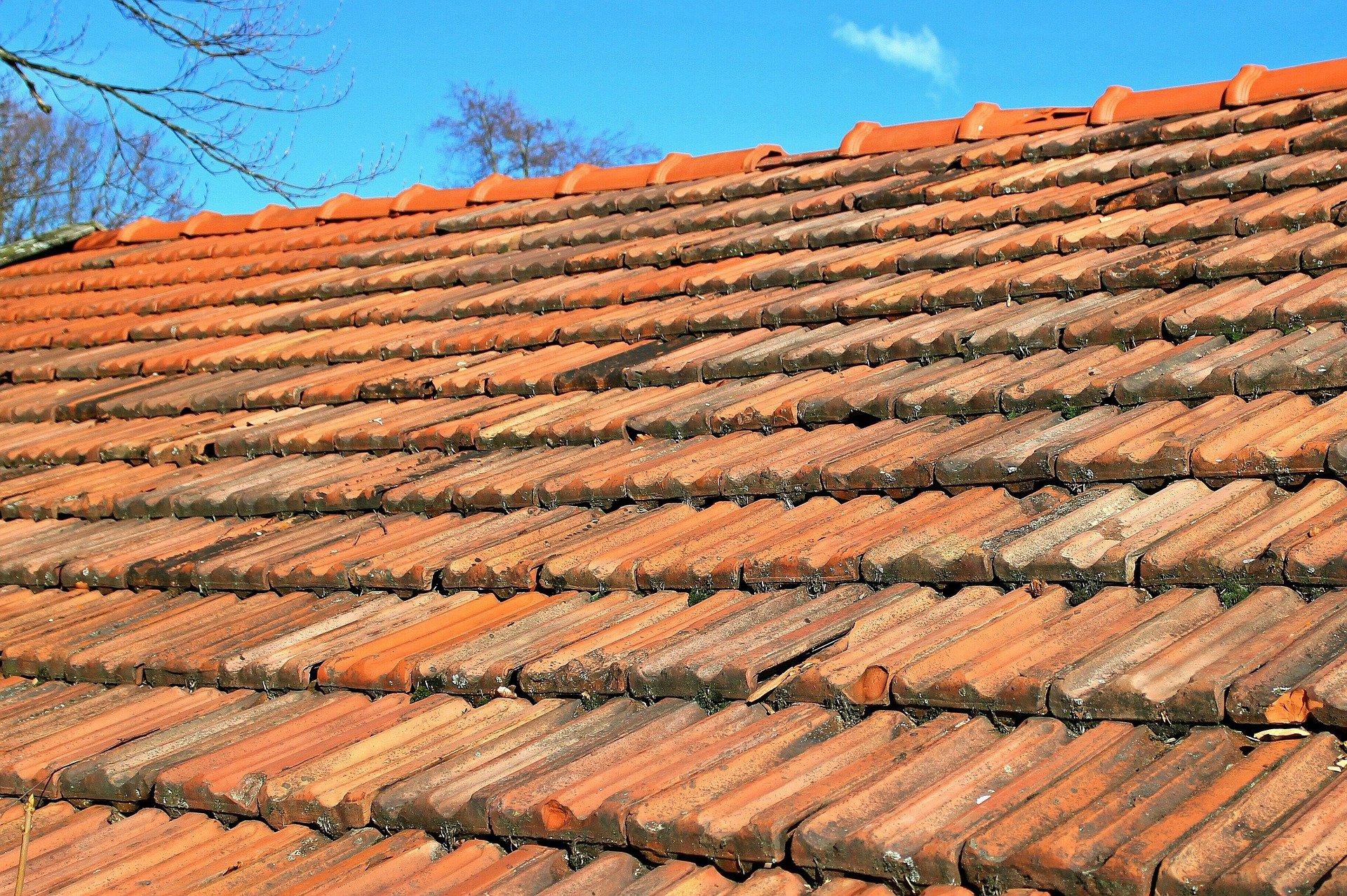 Close-up of a tiled roof with orange clay tiles, some covered in moss, under a blue sky with clouds and bare tree branches visible in the background.
