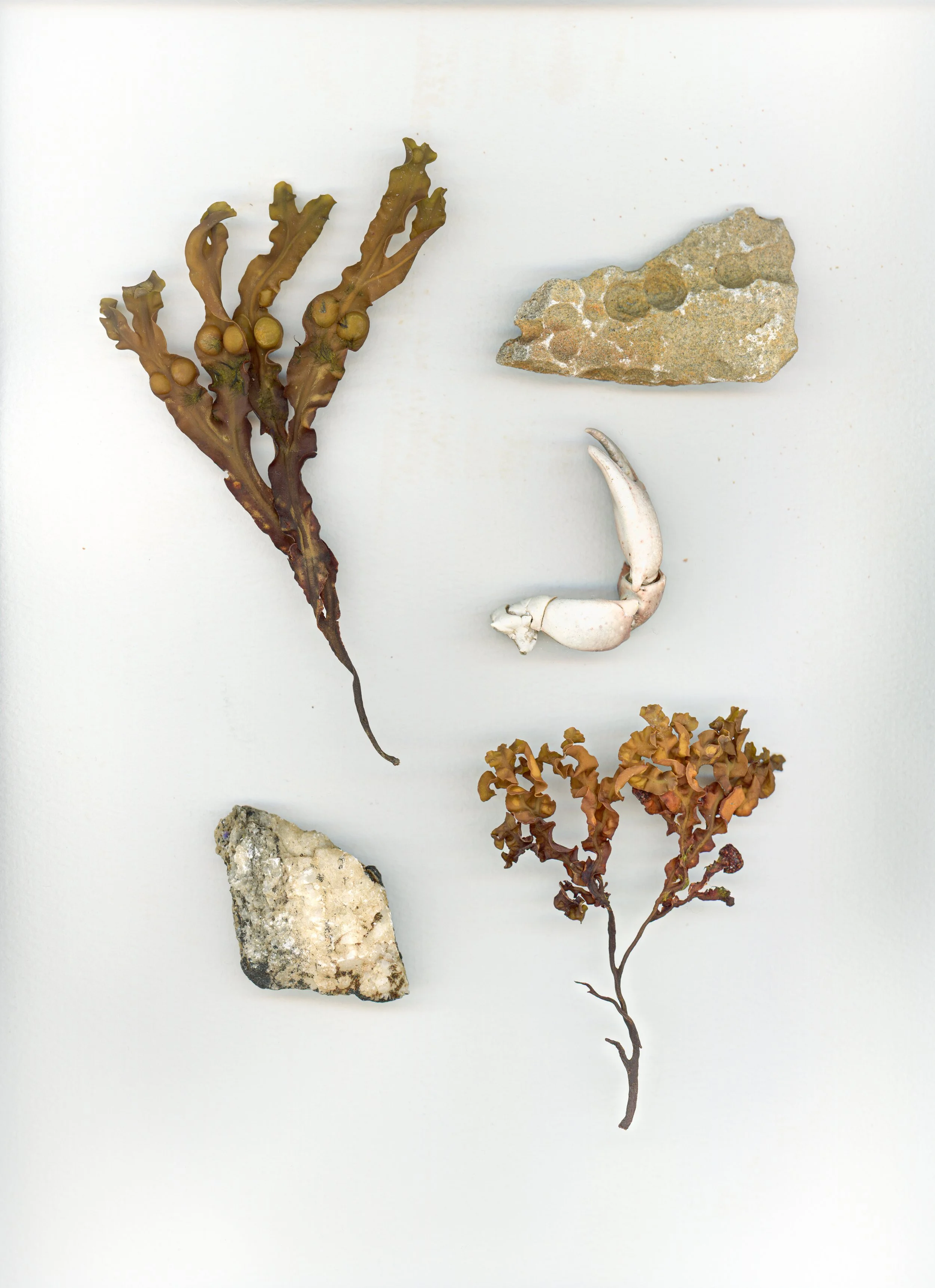 FRAGMENTER NR. 01-05 // Arkiv over frirum