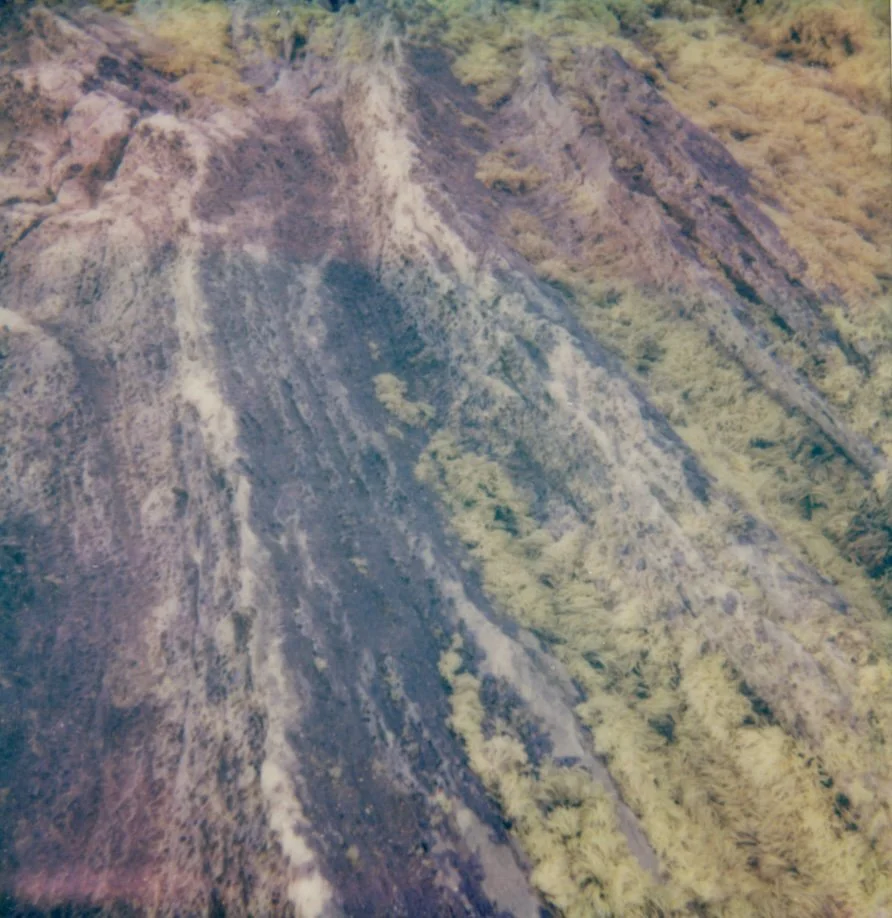 Norwehian Hillside, 2025