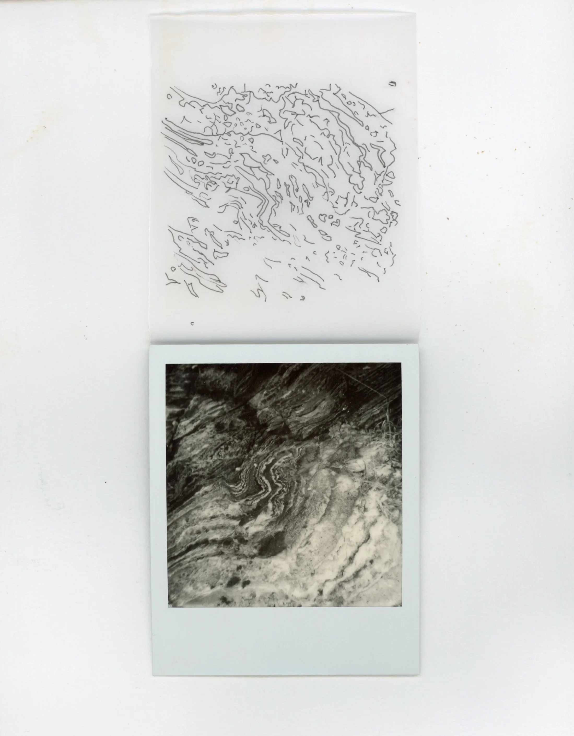 Norwegian rock surface I