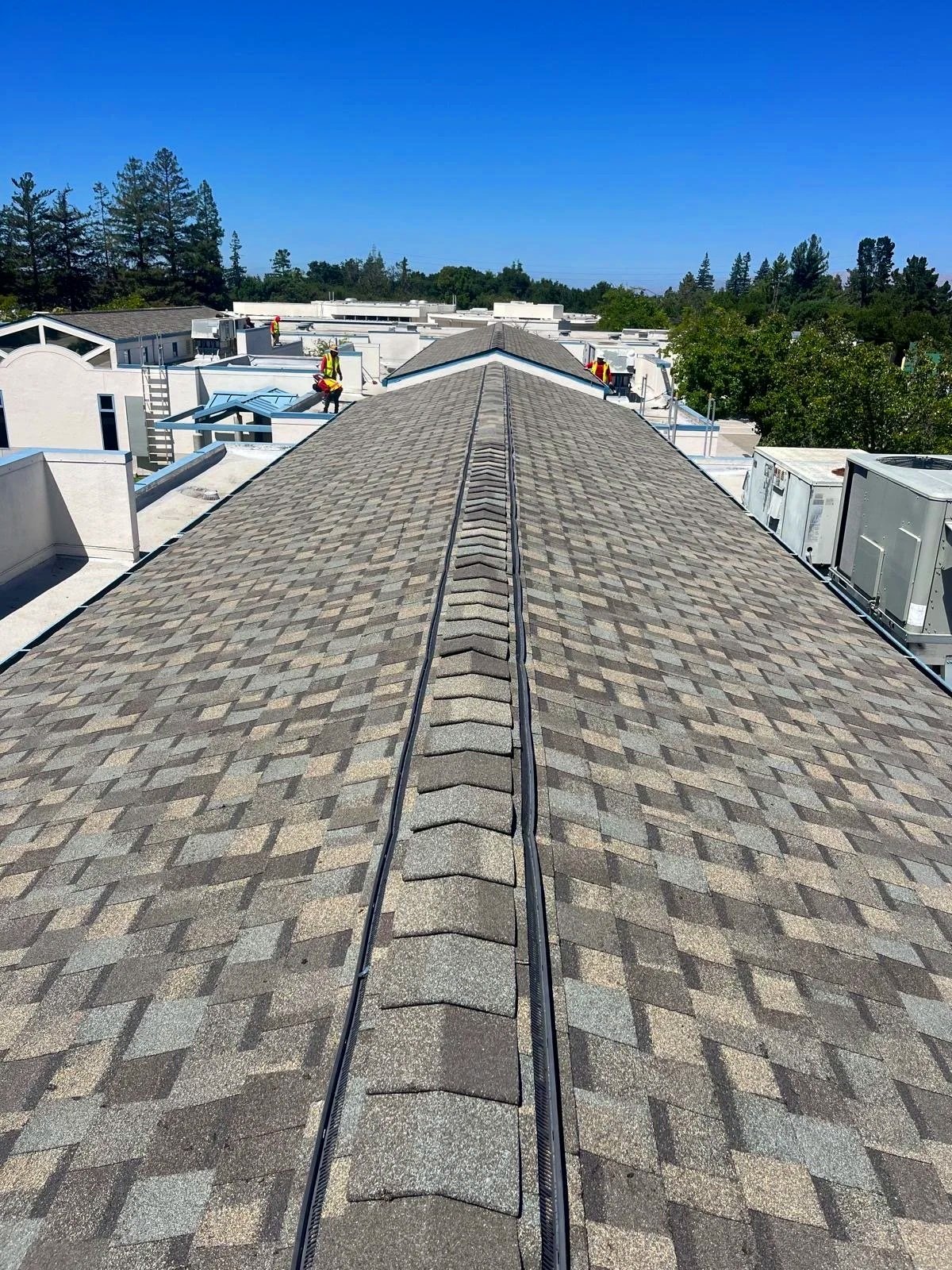 View from a rooftop showing workers installing equipment, with a clear blue sky and trees in the background.
