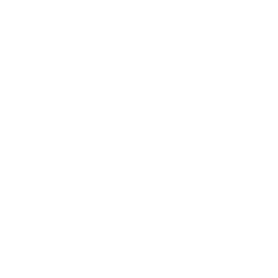 Elevate logo white.png