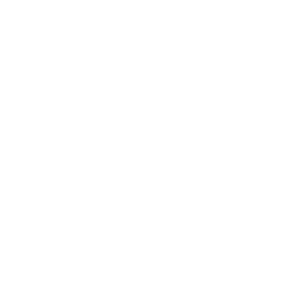 IB Roof Systems logo white.png