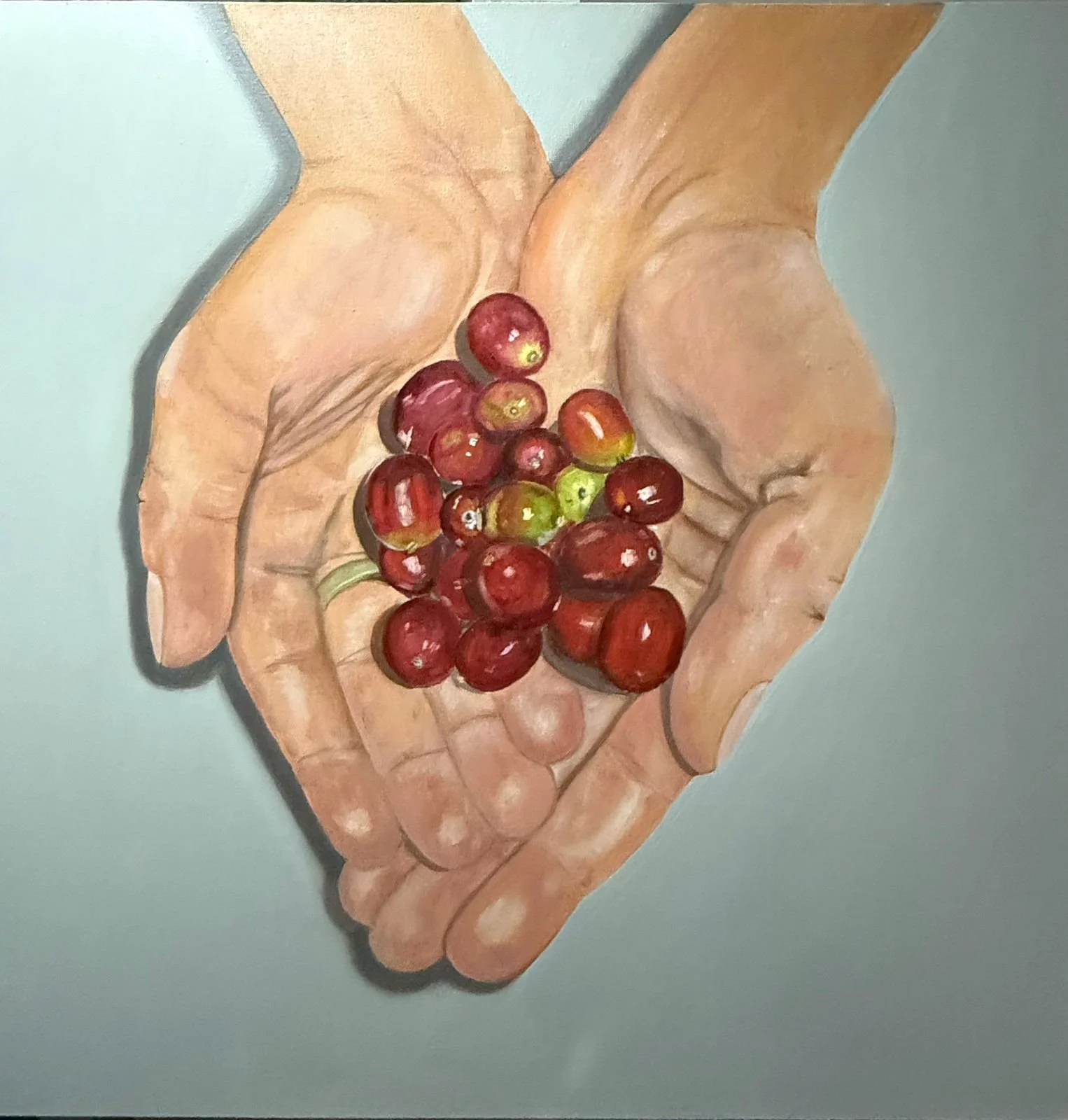 Granos de café| Óleo sobre tela | 80 x80 cms | 2026