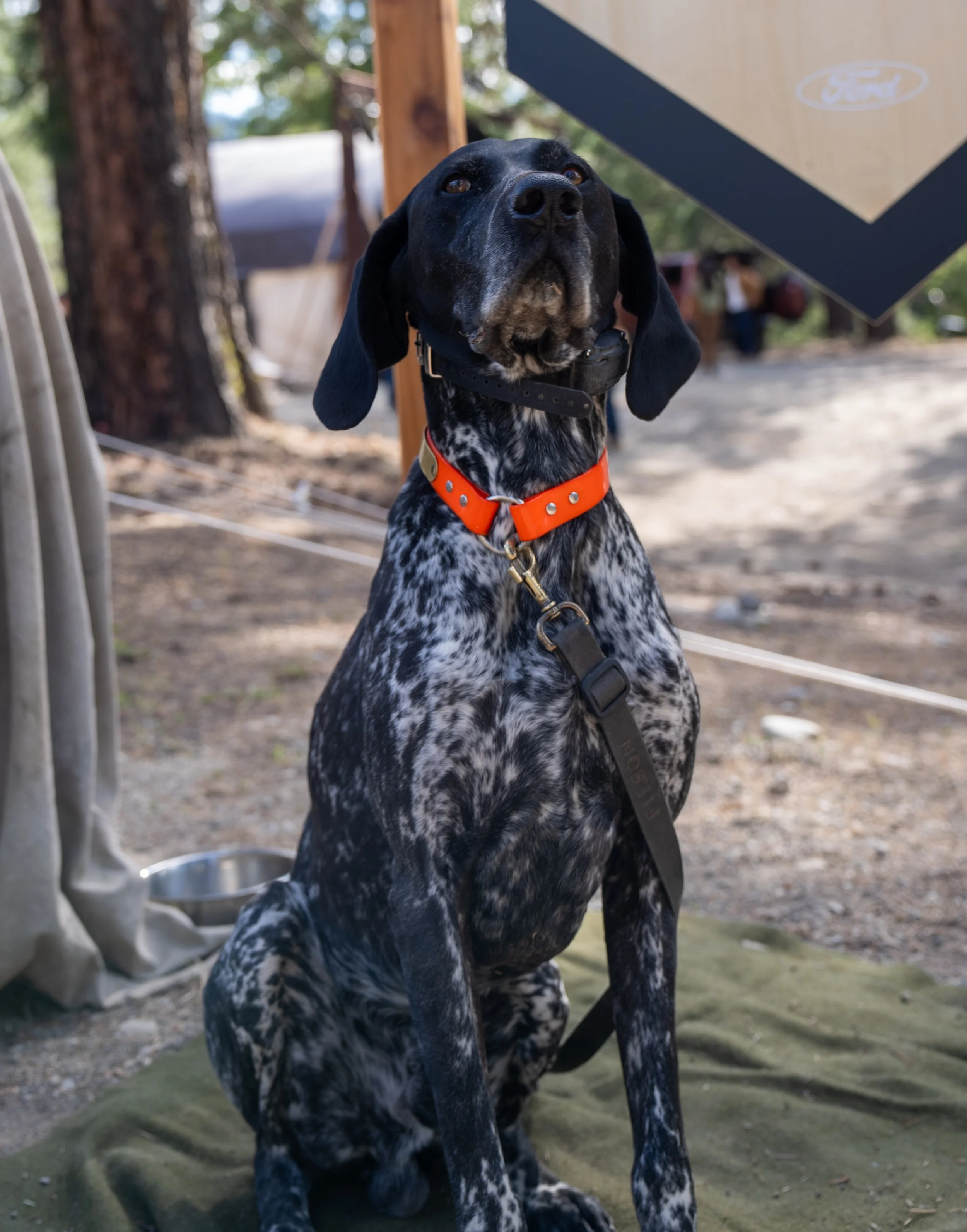 FORD X FILSON_ SUNCADIA_GLP -06376.jpg