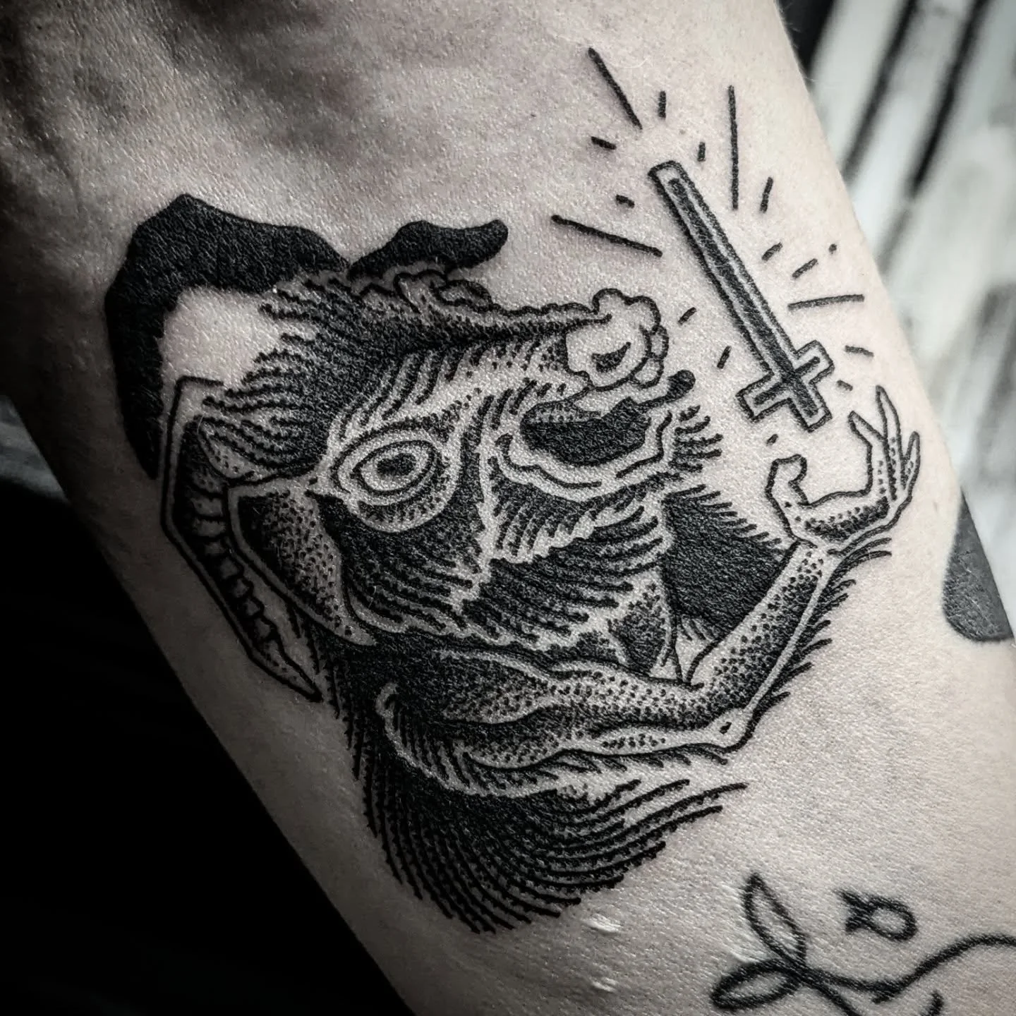 Goat from my flash from last week! 

I'm always stoked when people grab my custom flash! Thanks heaps to everyone for the support :)

@vaiderzneedles 

#brisbanetattoo #goattattoo #blackworktattoo #dotworktattoo #dotwork #armtattoo #flashtattoo #flas