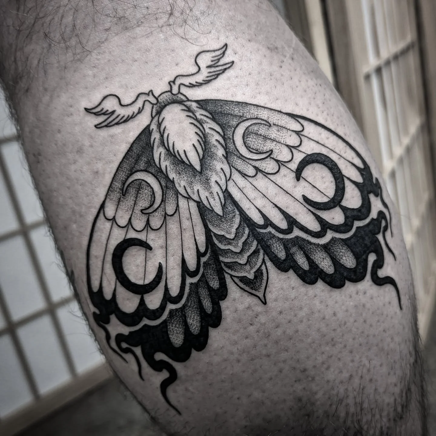 Spooky moth! Made last week @simplestudiotattoo 

@vaiderzneedles 

#brisbanetattoo #mothtattoo #spooky #legtattoo #calftattoo #moth #deathmoth #blackwork #blacktattoo #insect #dotwork #stippletattoo