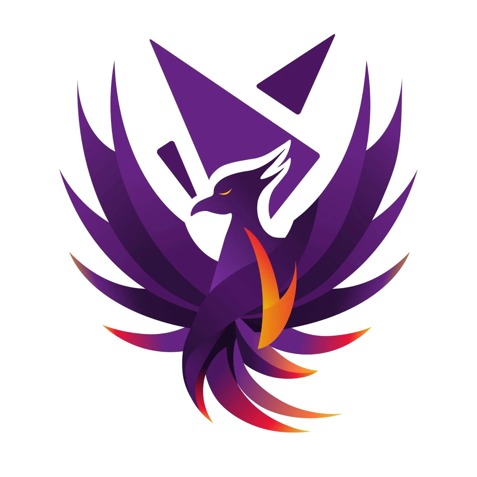 The PhoeniC Token Asset