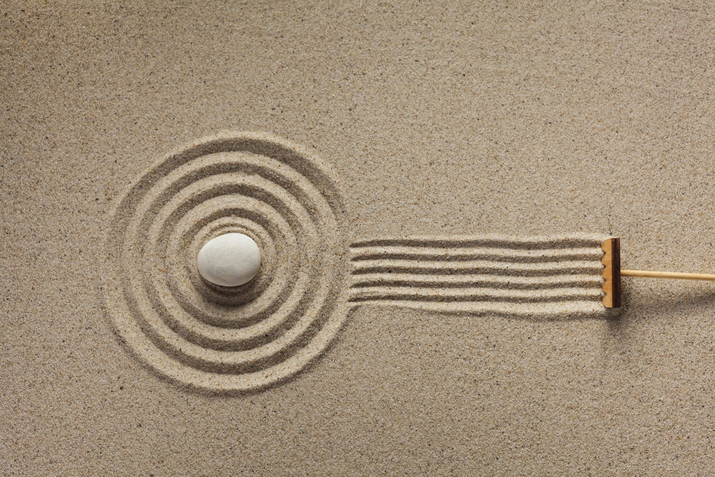 How Emotional Patterns Begin Changing Once the System Feels Safe