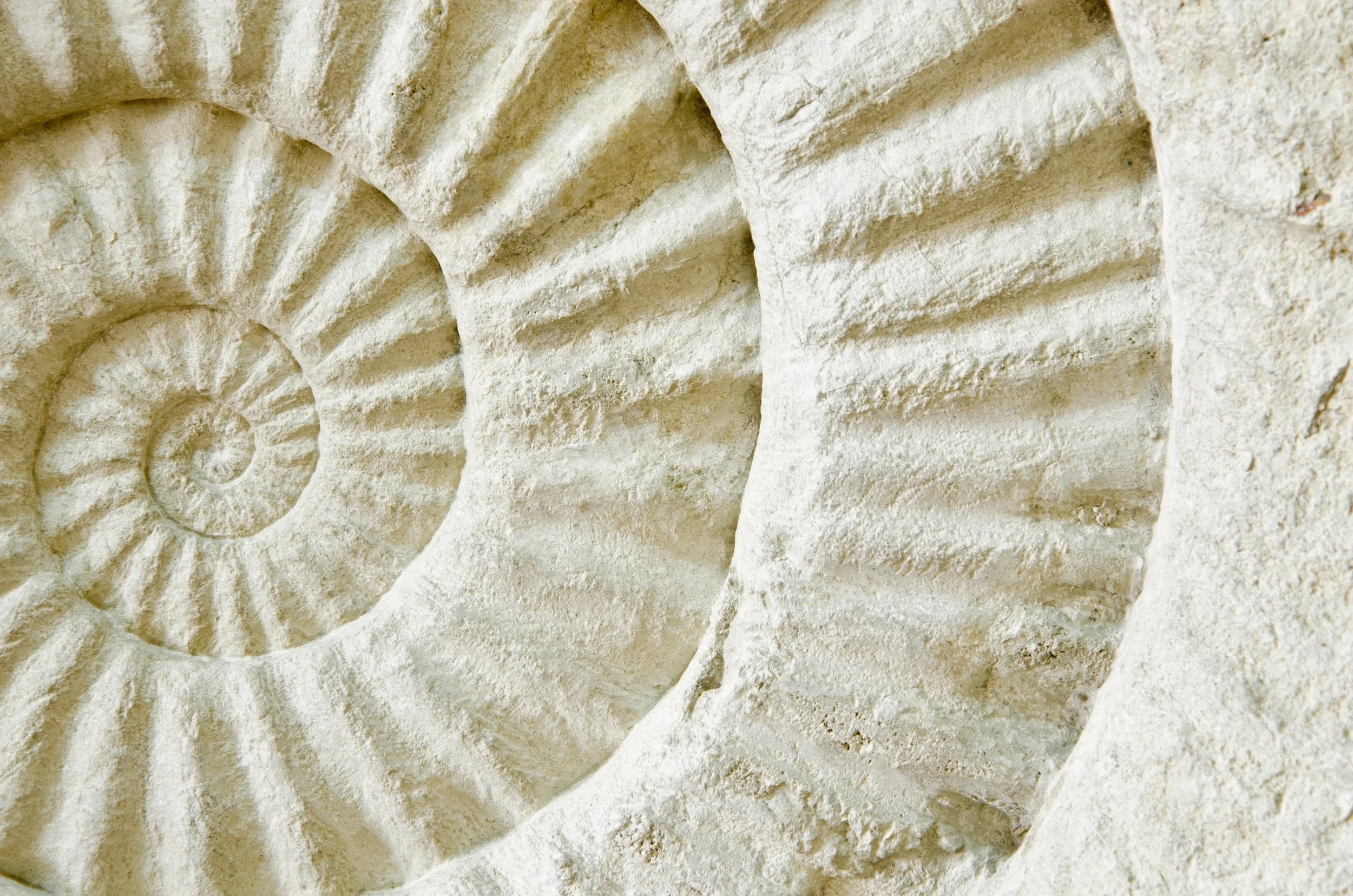 Why Overthinking Happens