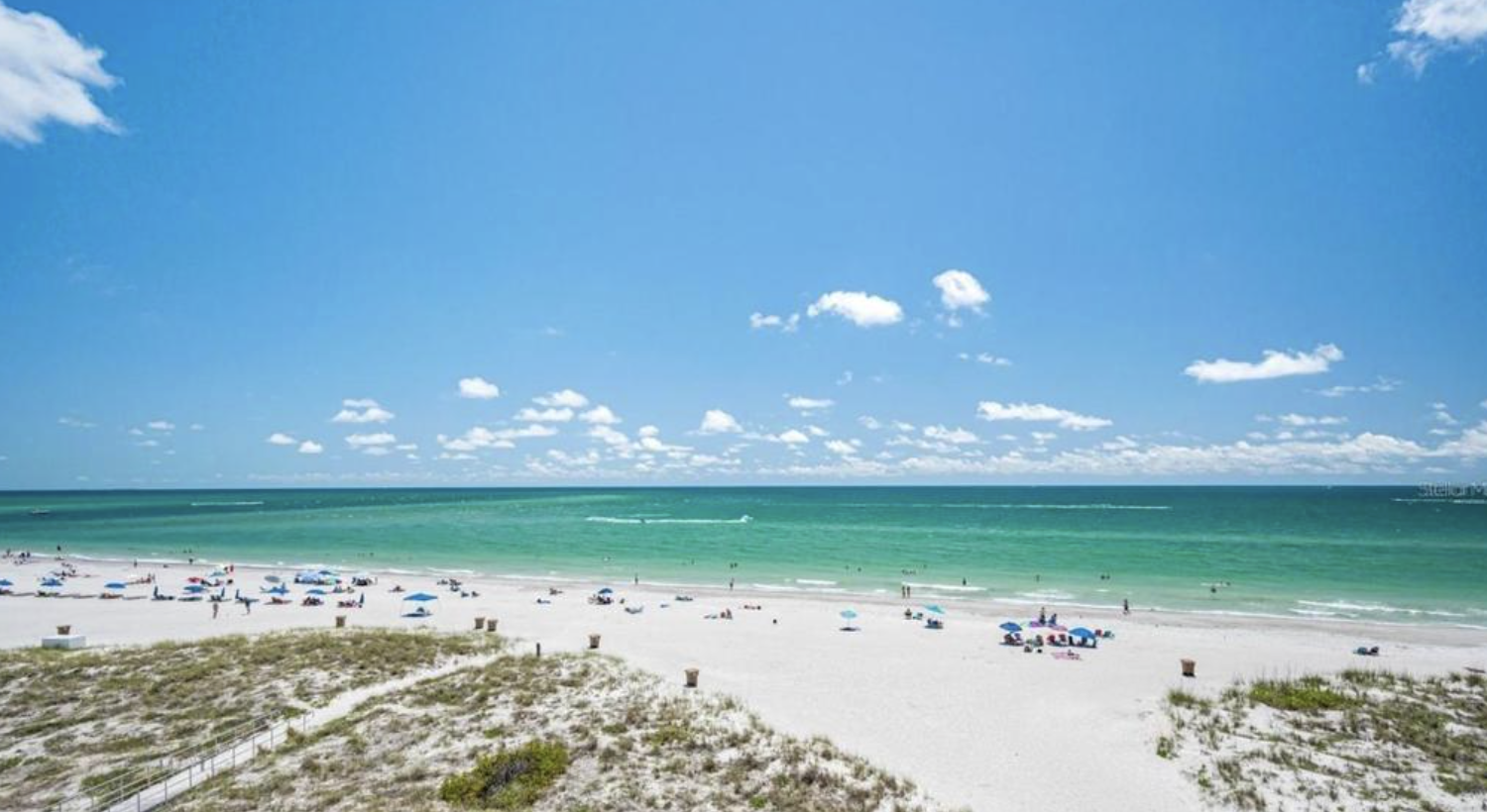 Madiera Beach.png