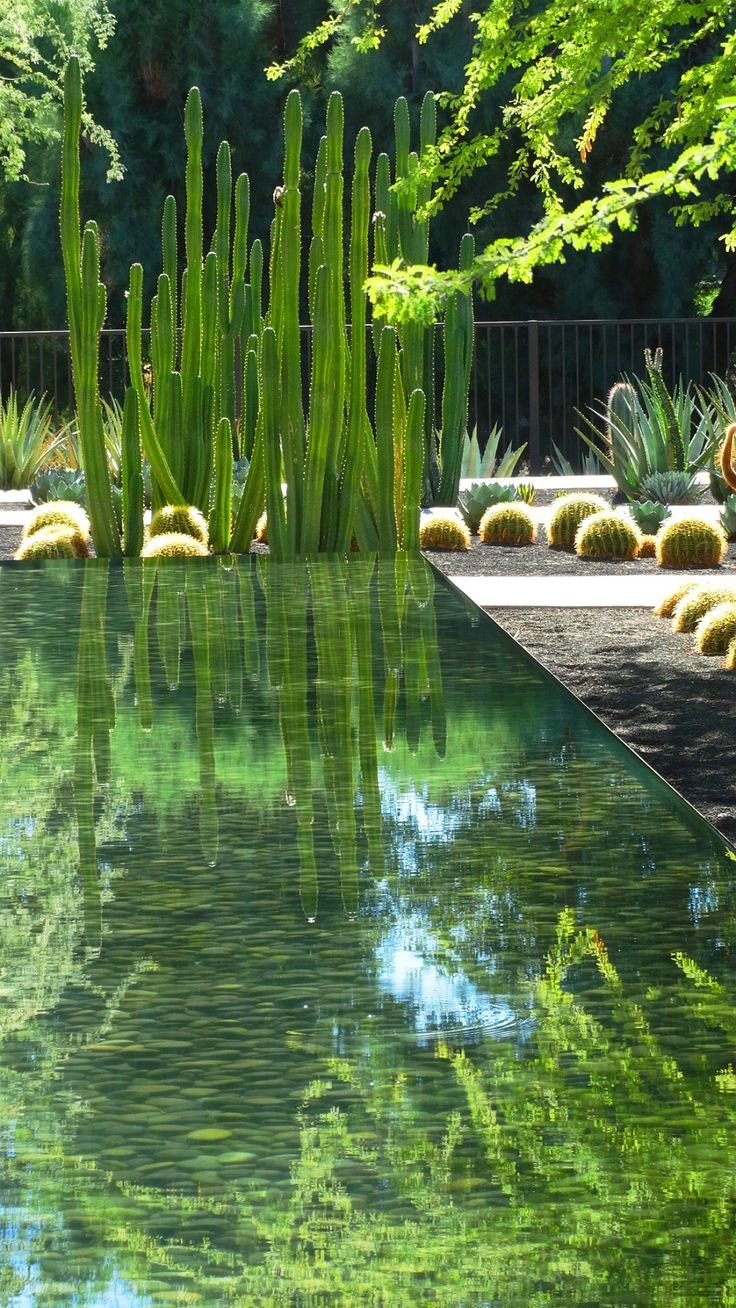 Water Feature Ideas for Los Angeles Gardens
