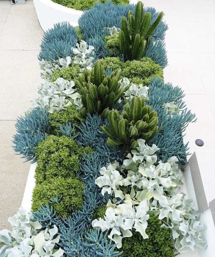 Drought-Tolerant Garden Ideas for Los Angeles Homes