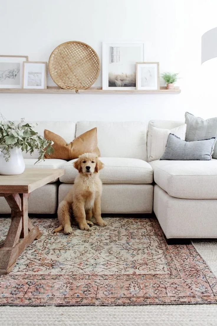 Pet Friendly Furniture and Decor