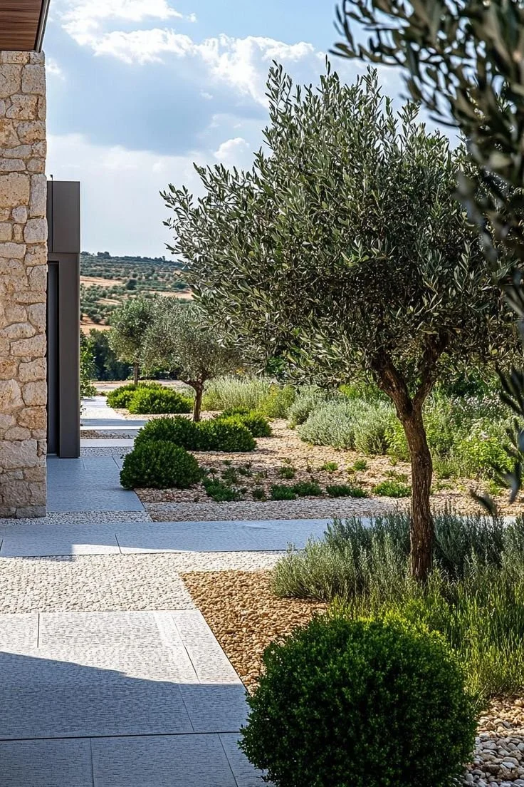 garden ideas for Los Angeles Mediterranean home