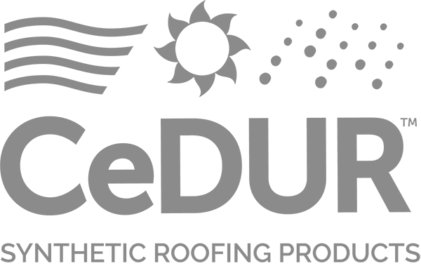 CeDUR.webp